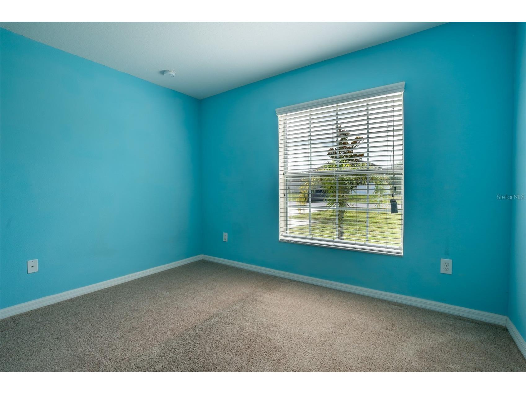 18591 Briar Oaks Drive Hudson FL 34667 O6414610 image20
