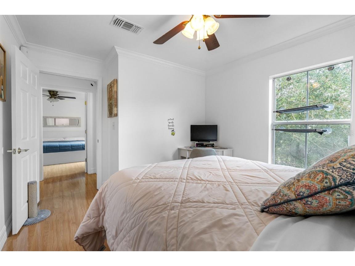 18593 Bridle Club Drive Tampa FL 33647 TB8311460 image18