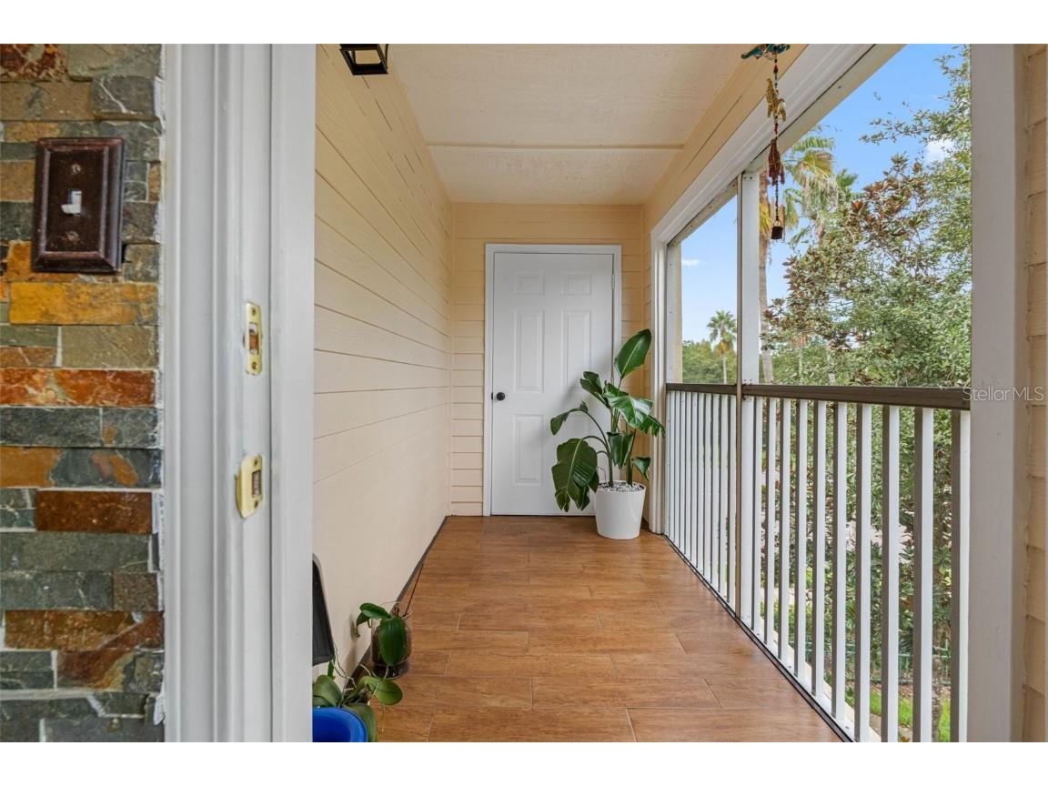 18593 Bridle Club Drive Tampa FL 33647 TB8311460 image29