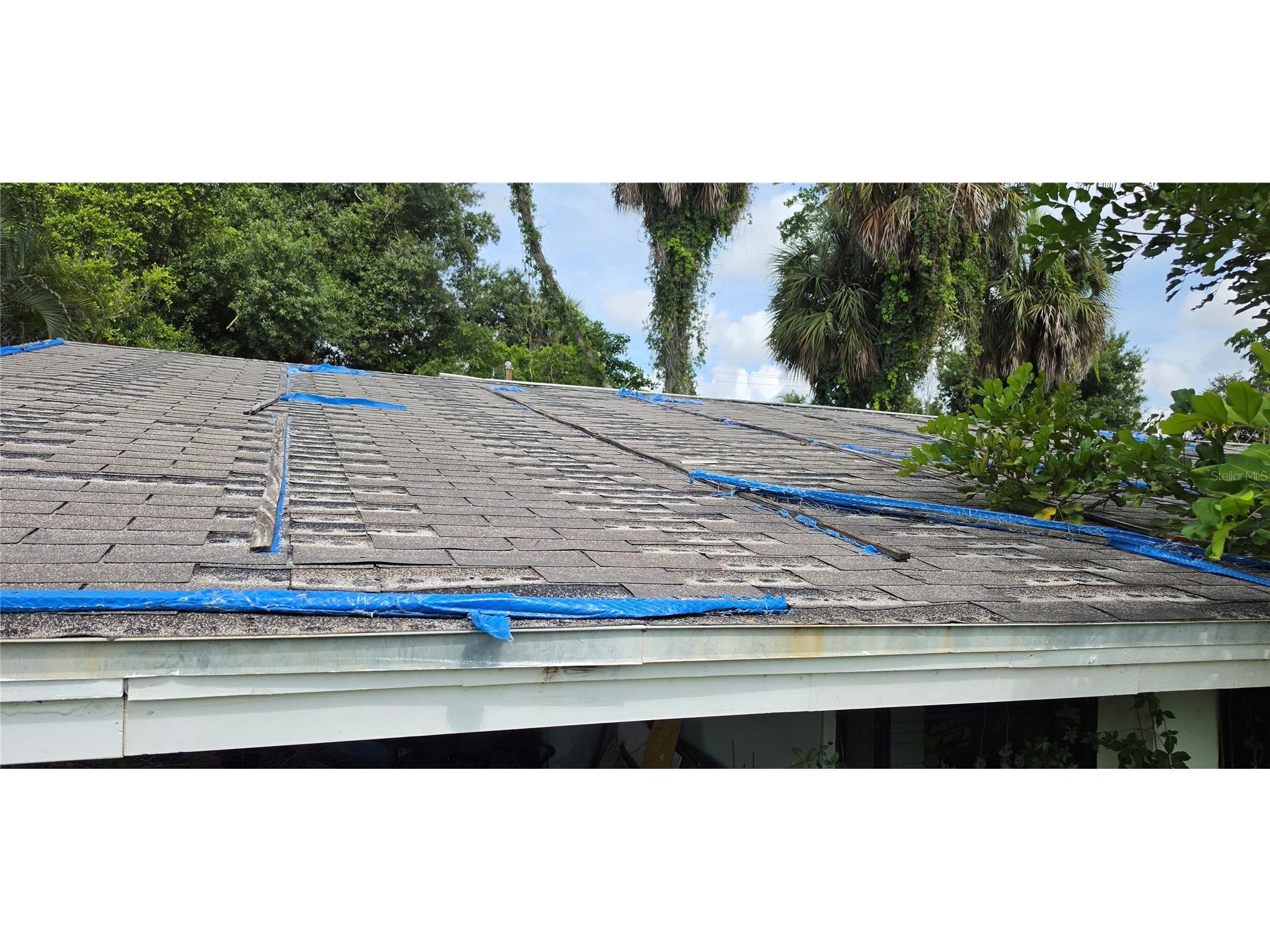 186 Crescent Lake Drive North Fort Myers FL 33917 TB8524119 image2