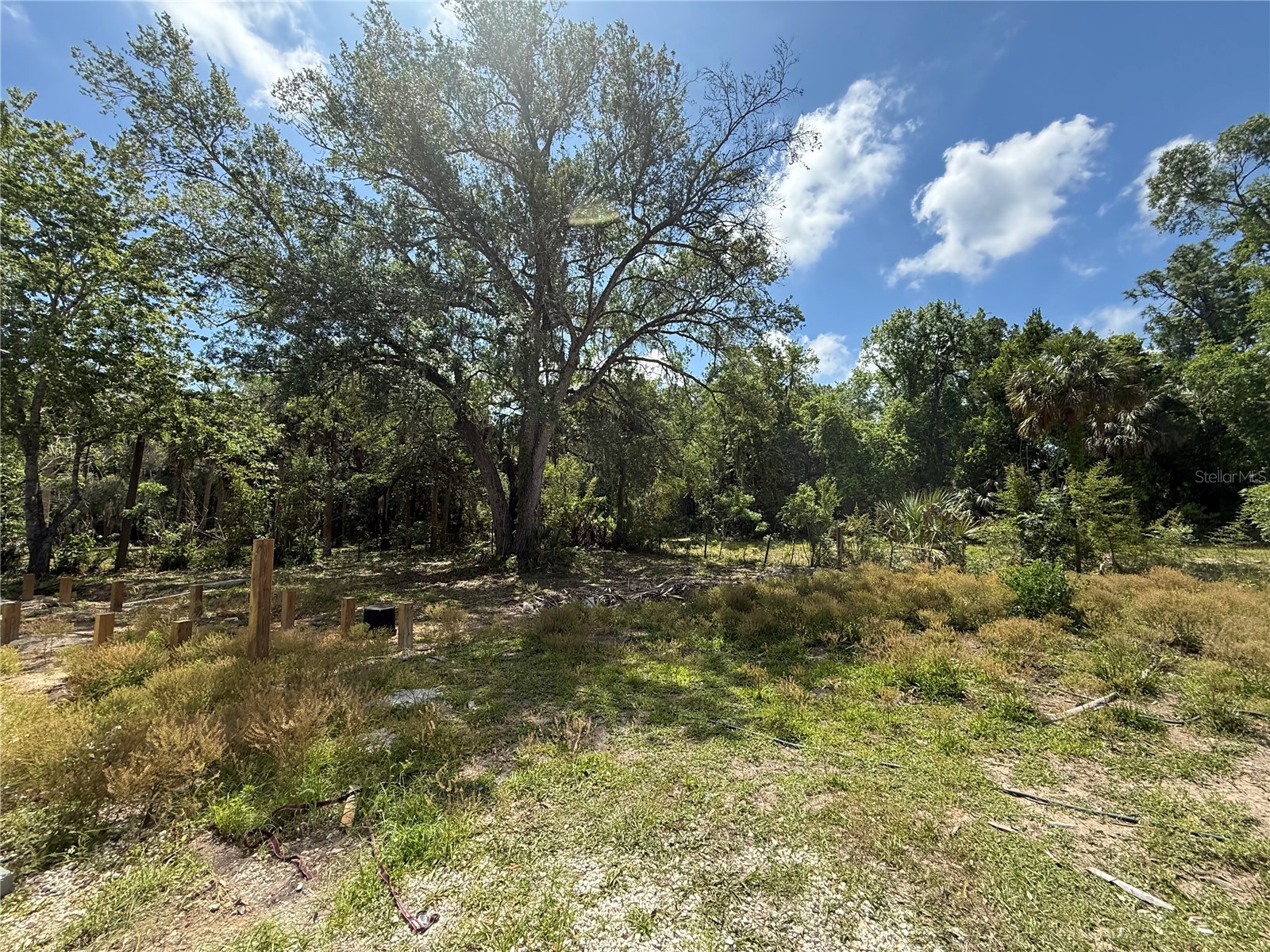 186 Gladys Avenue Inglis FL 34449 G5112130 image22