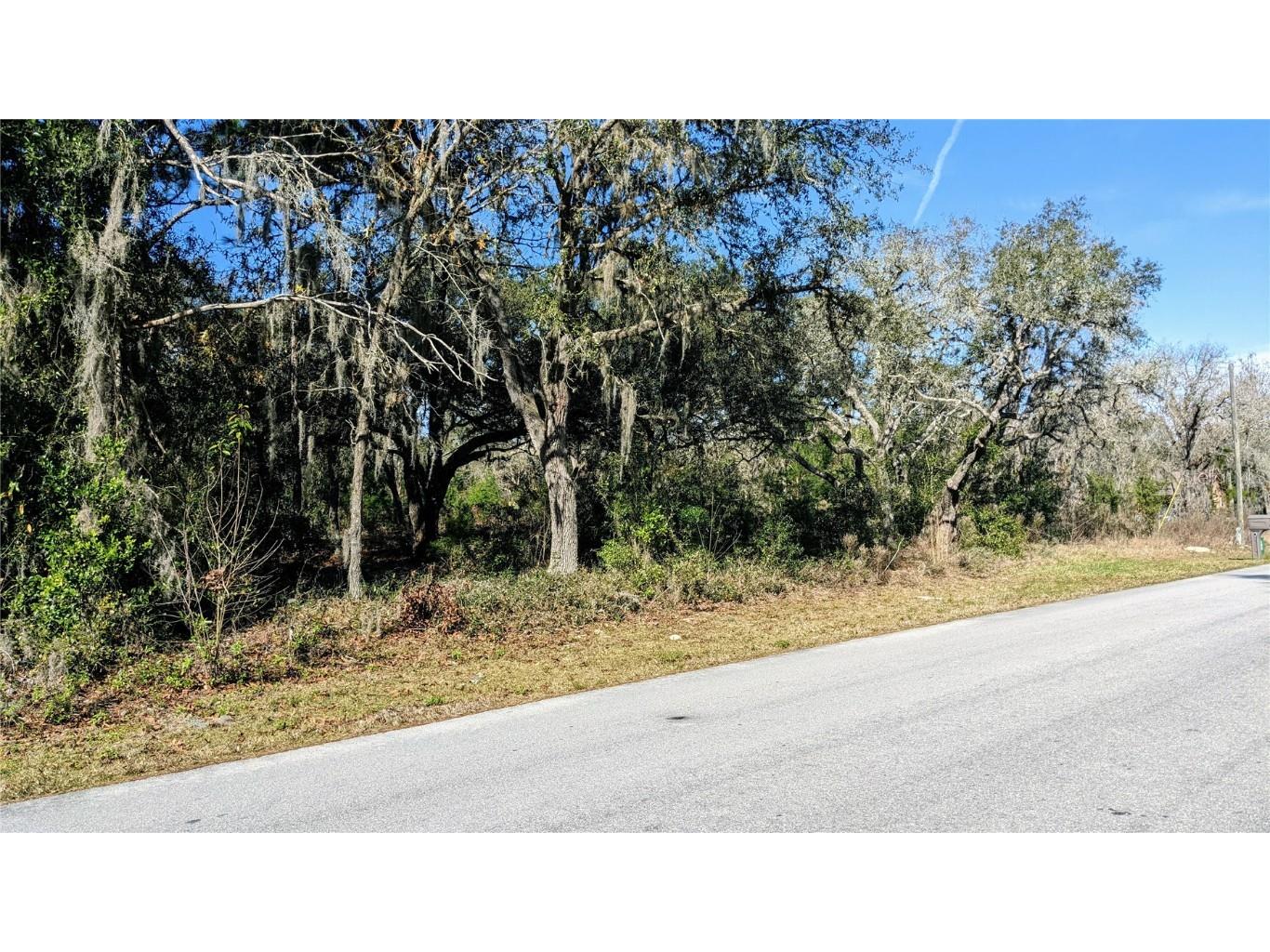 186 N Fresno Avenue Hernando FL 34442 U8148607 image1