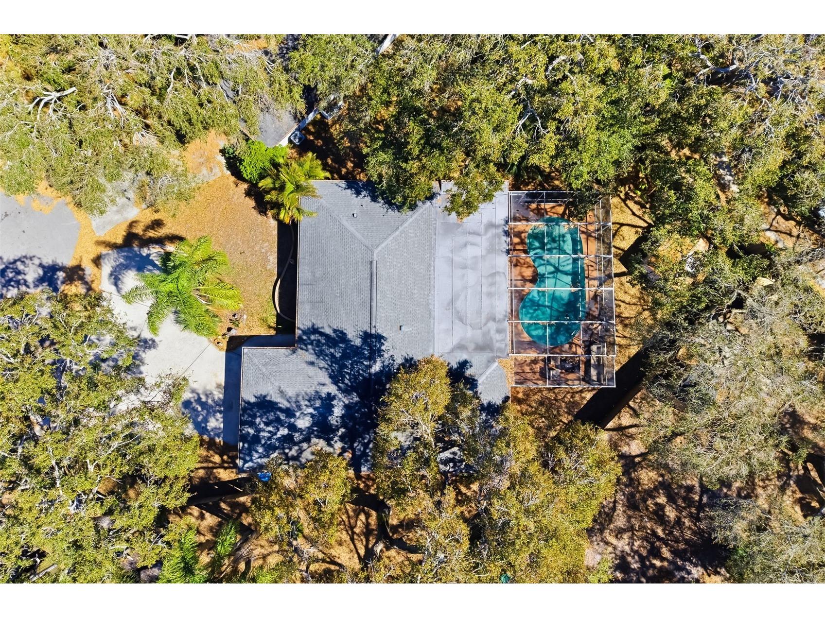186 Sunward Avenue Palm Harbor FL 34684 A4682536 image51