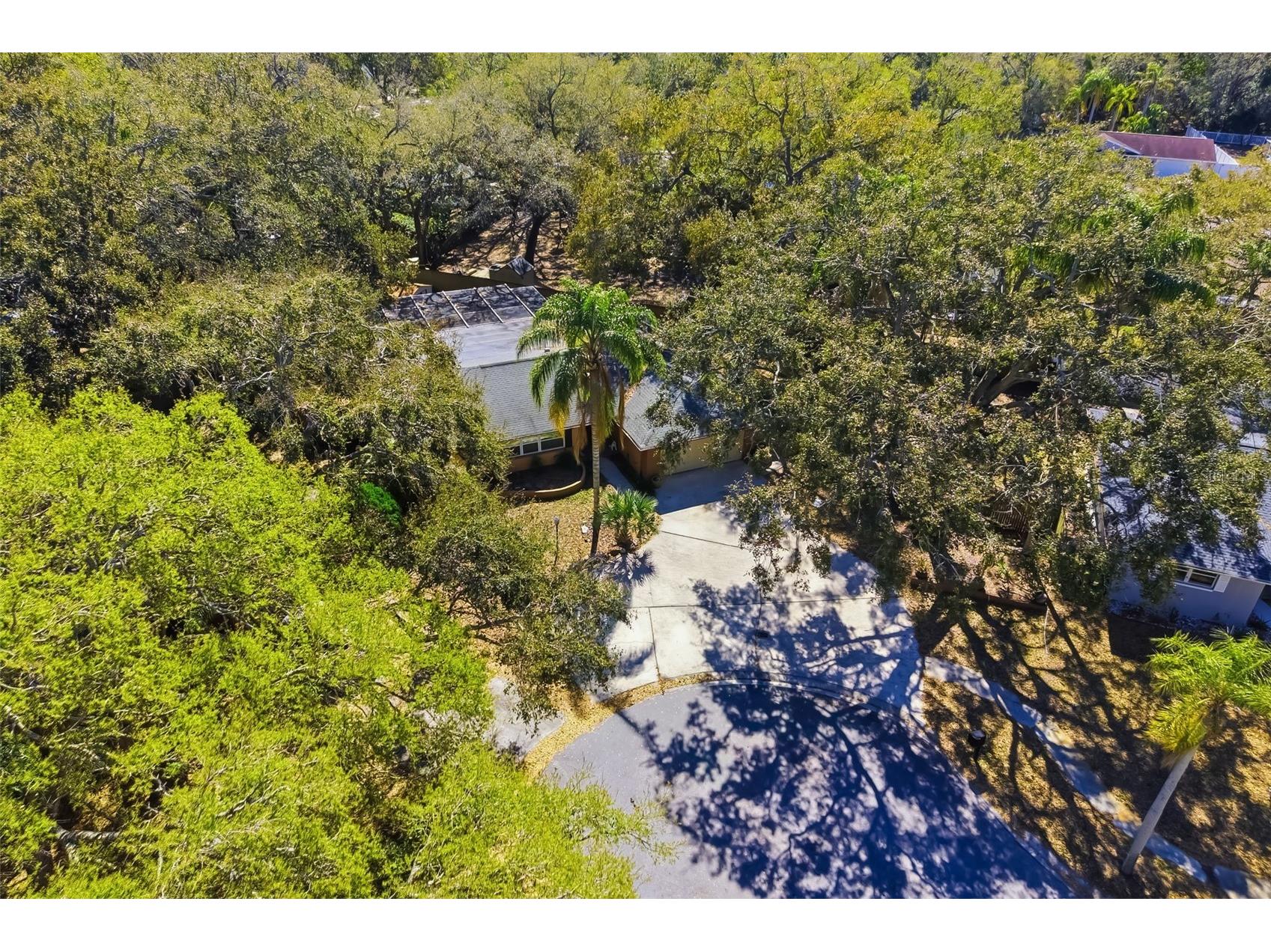 186 Sunward Avenue Palm Harbor FL 34684 A4682536 image52