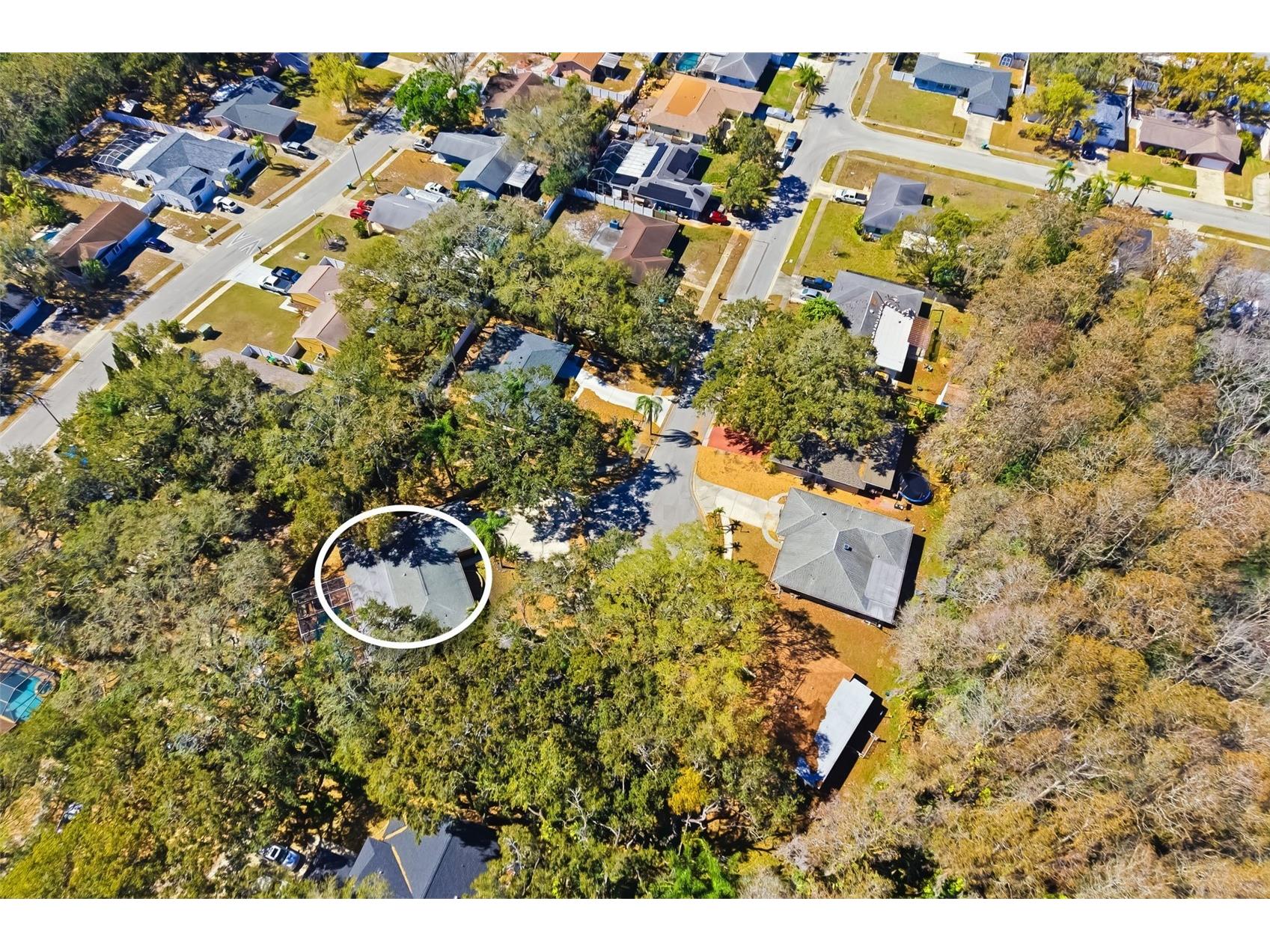 186 Sunward Avenue Palm Harbor FL 34684 A4682536 image53