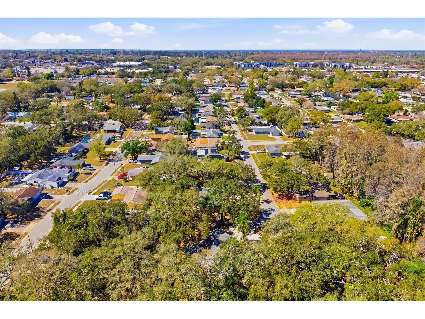 186 Sunward Avenue Palm Harbor FL 34684 A4682536 image54
