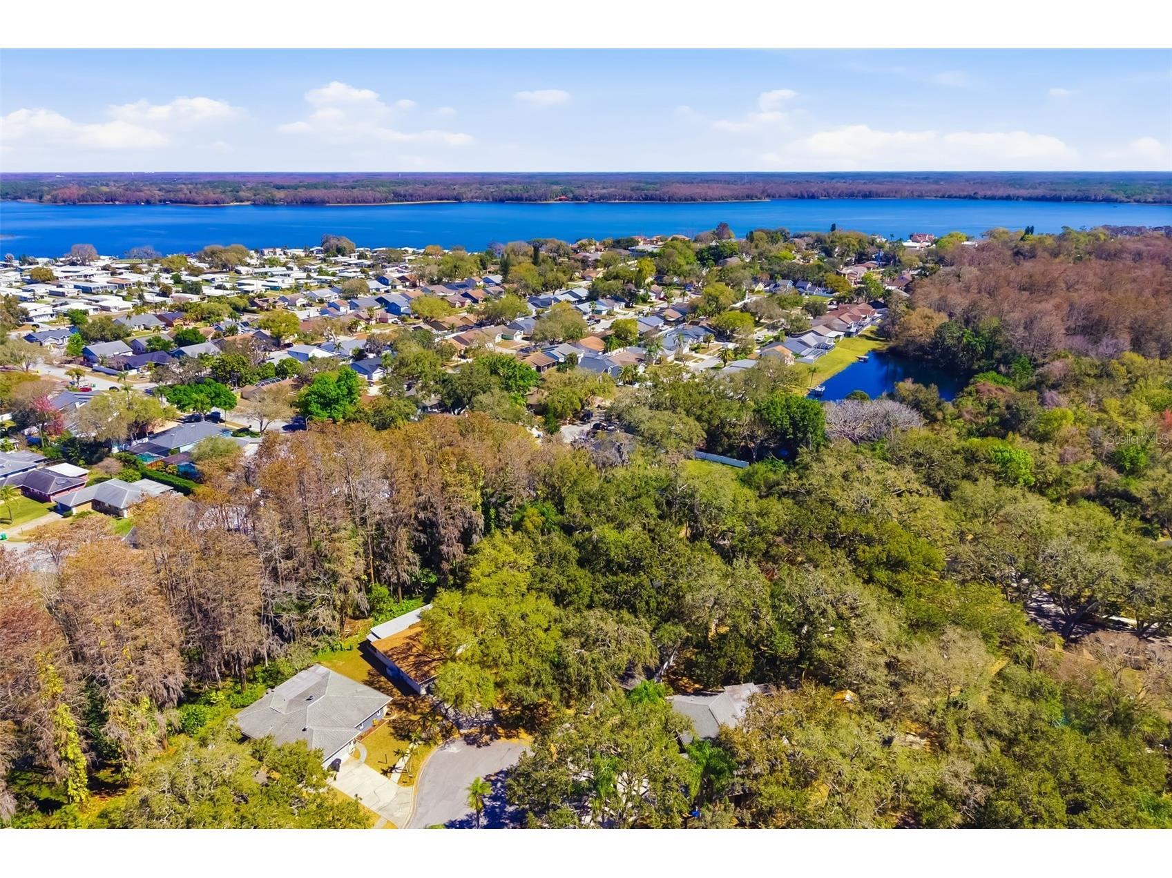 186 Sunward Avenue Palm Harbor FL 34684 A4682536 image57