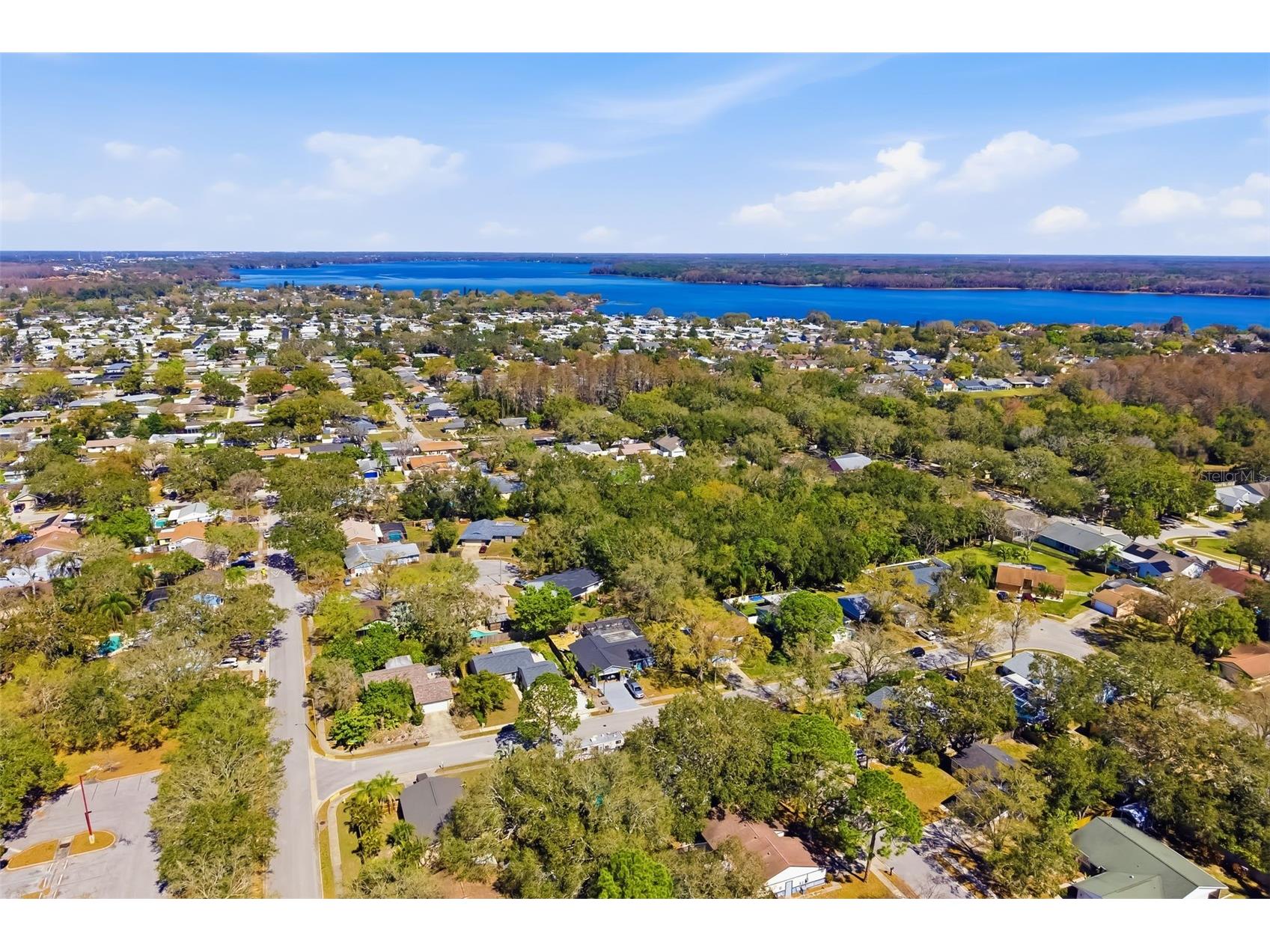 186 Sunward Avenue Palm Harbor FL 34684 A4682536 image58