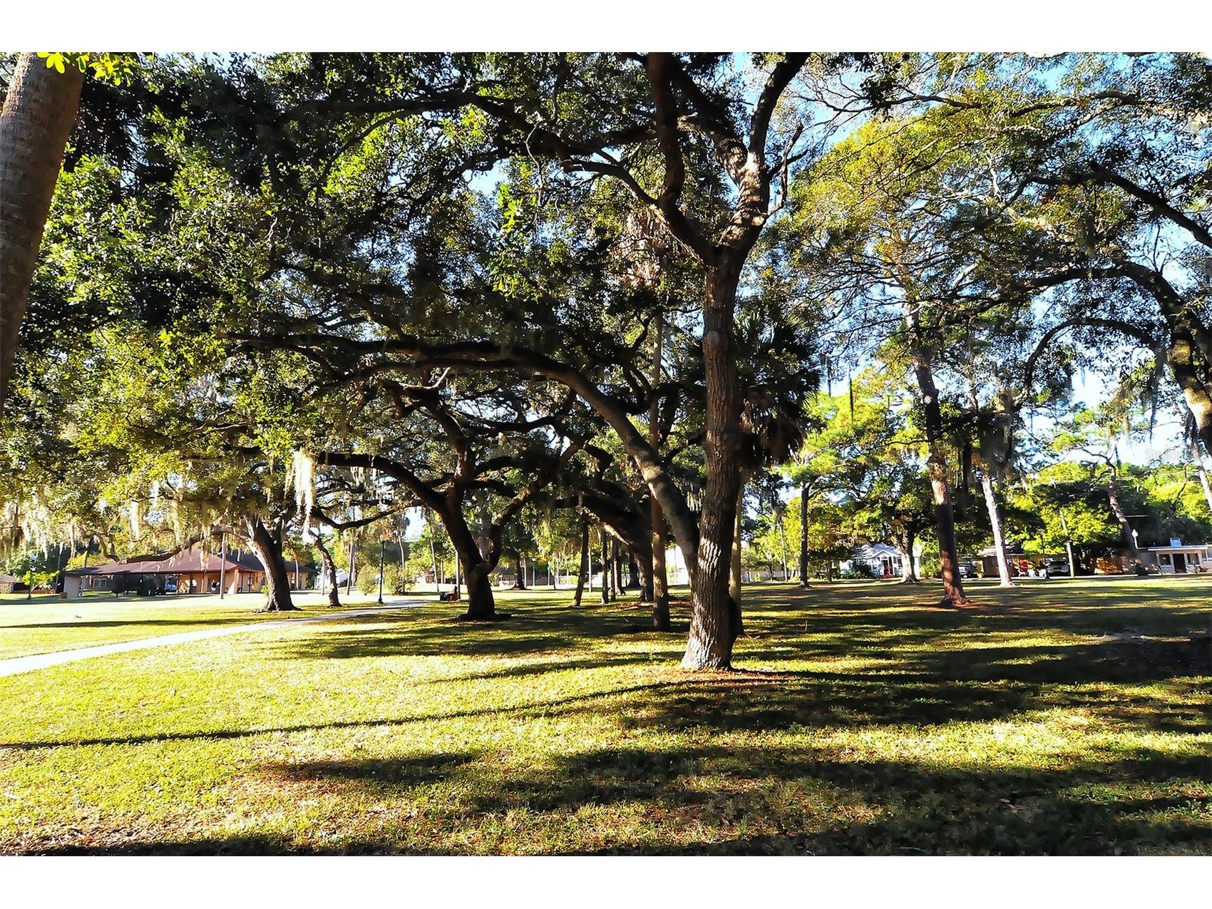 1860 7th Street Sarasota FL 34236 A4685678 image47