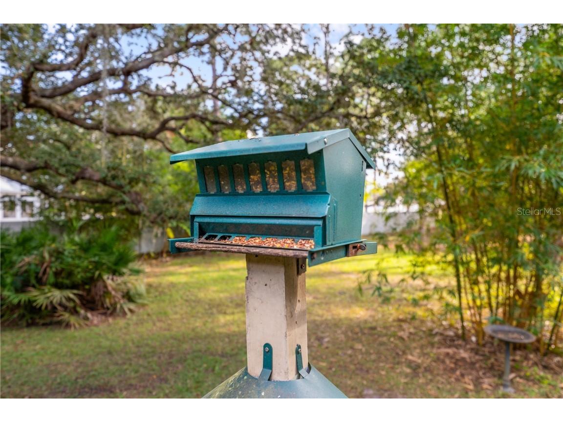 1860 Mustang Court Saint Cloud FL 34771 S5139144 image56