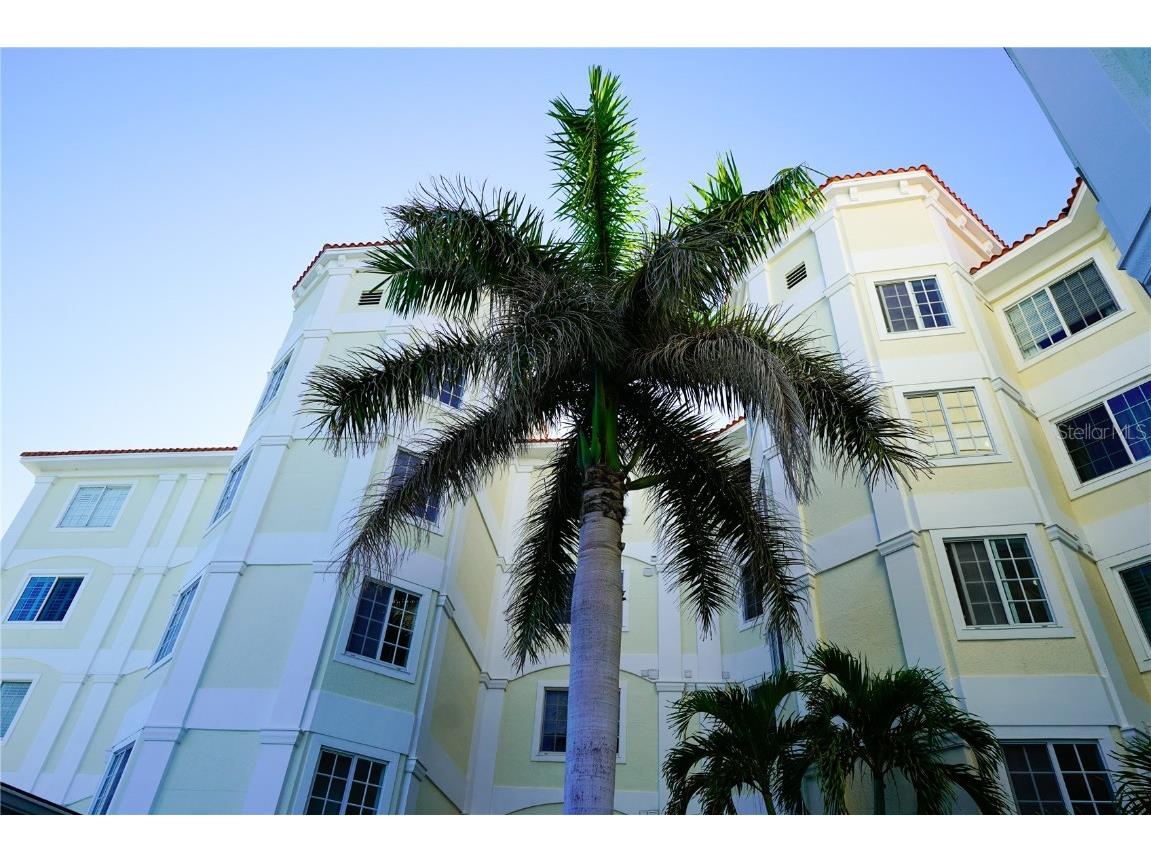 1860 N Fort Harrison Avenue #301 Clearwater FL 33755 TB8366842 image1