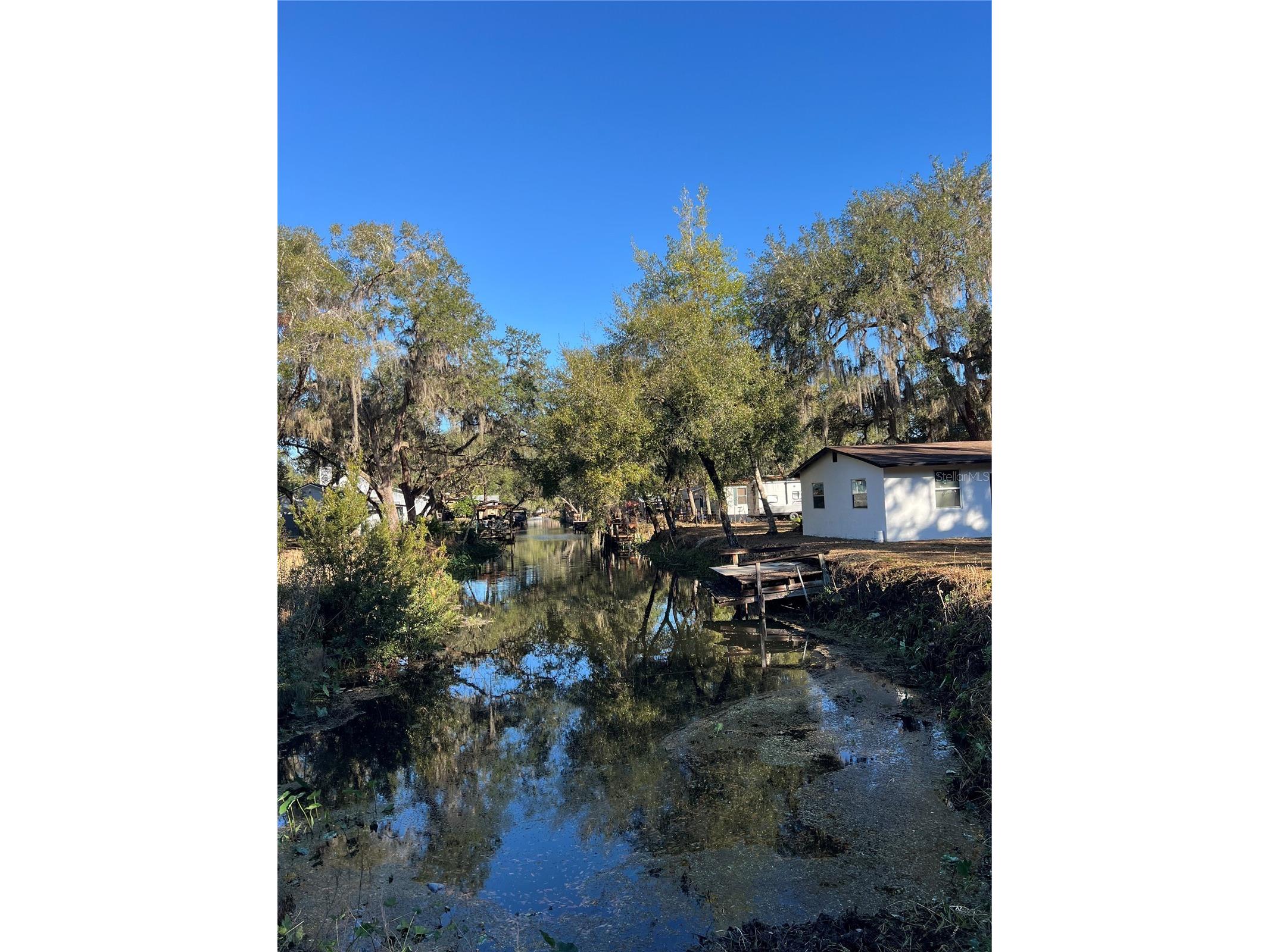 18600 NE 239th Court Fort Mc Coy FL 32134 - LAKE DELANCY OM693211 image1