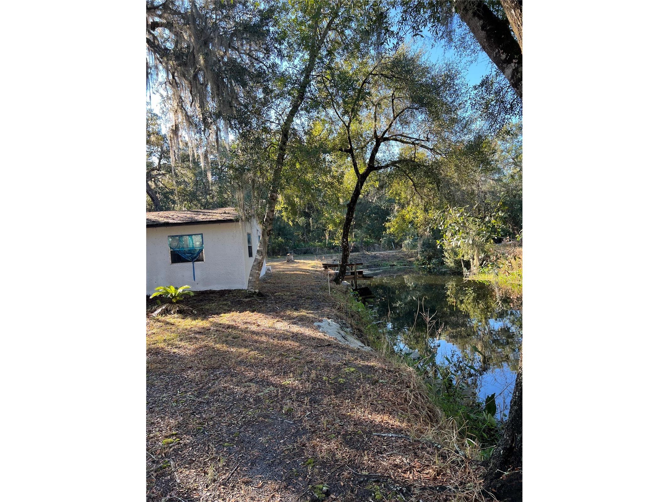 18600 NE 239th Court Fort Mc Coy FL 32134 - LAKE DELANCY OM693211 image10