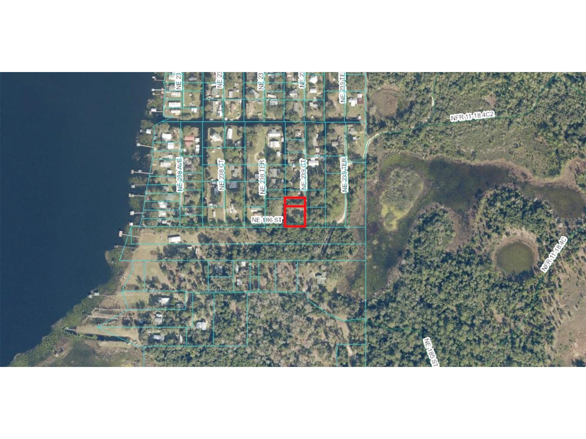 18600 NE 239th Court Fort Mc Coy FL 32134 - LAKE DELANCY OM693211 image13
