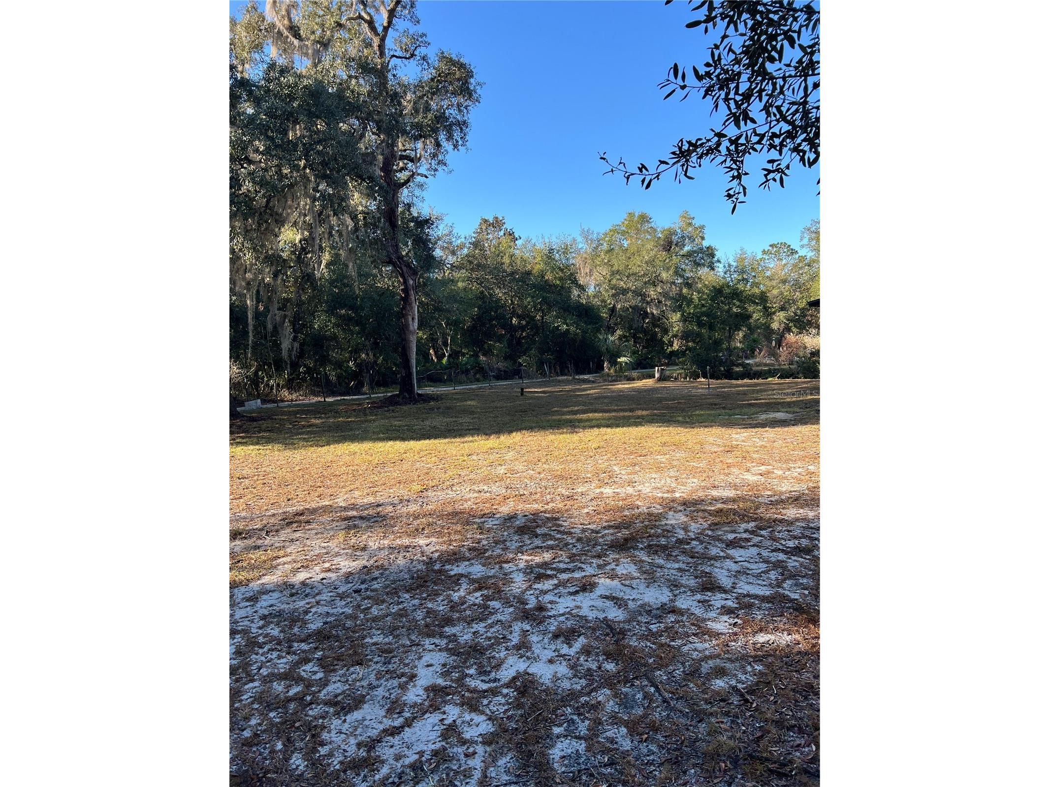 18600 NE 239th Court Fort Mc Coy FL 32134 - LAKE DELANCY OM693211 image8