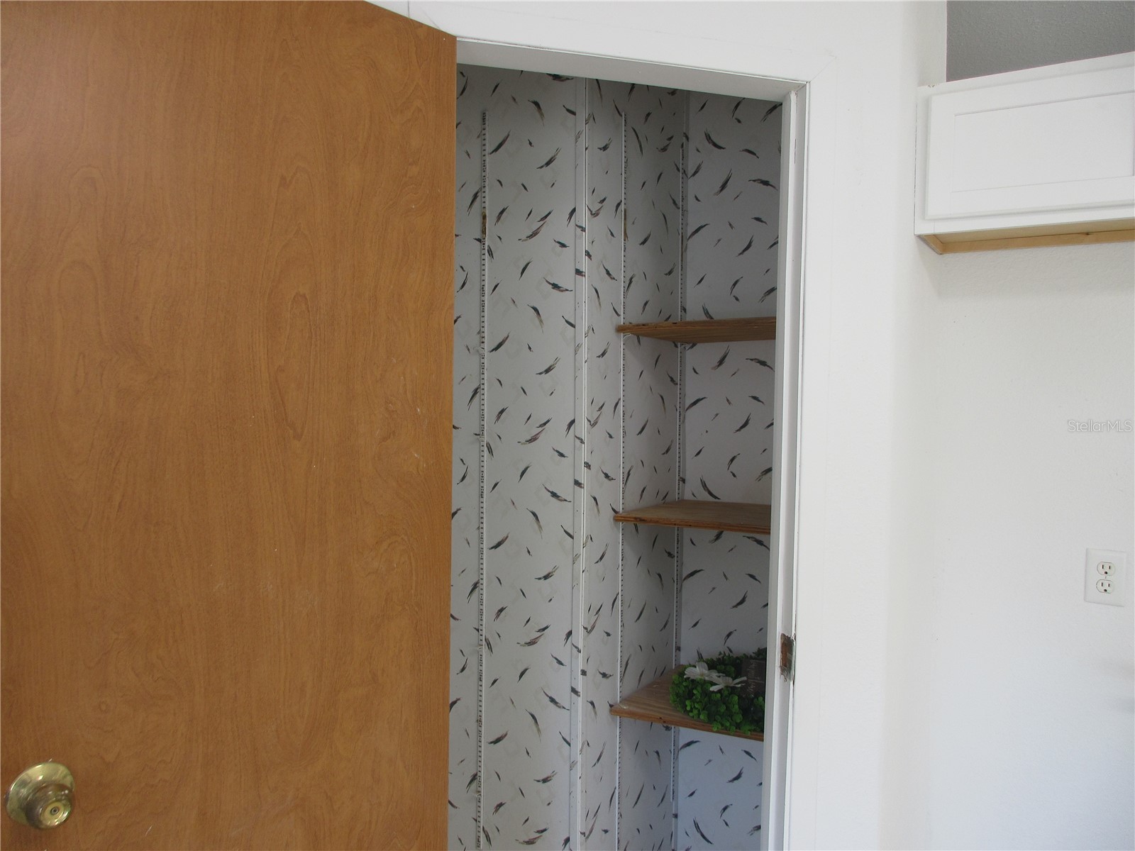 18601 SE 24th Lane Ocklawaha FL 32179 OM719937 image14