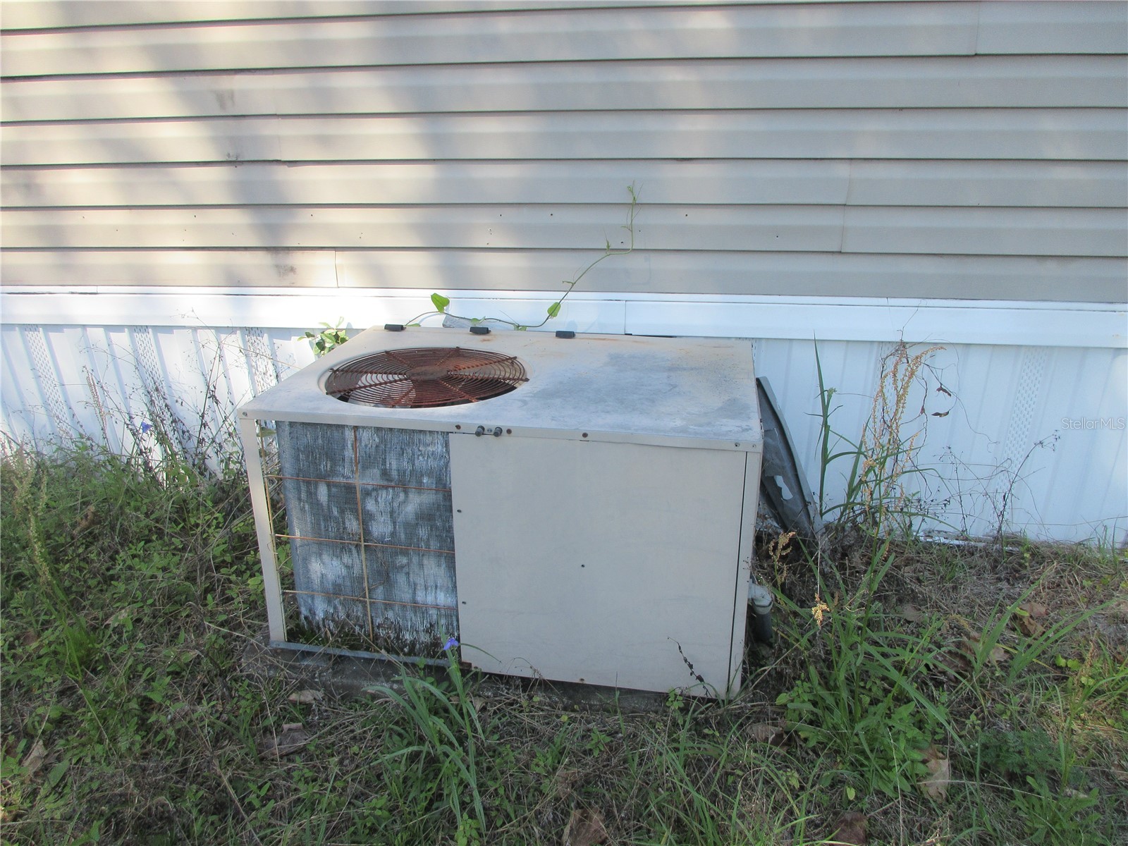 18601 SE 24th Lane Ocklawaha FL 32179 OM719937 image4