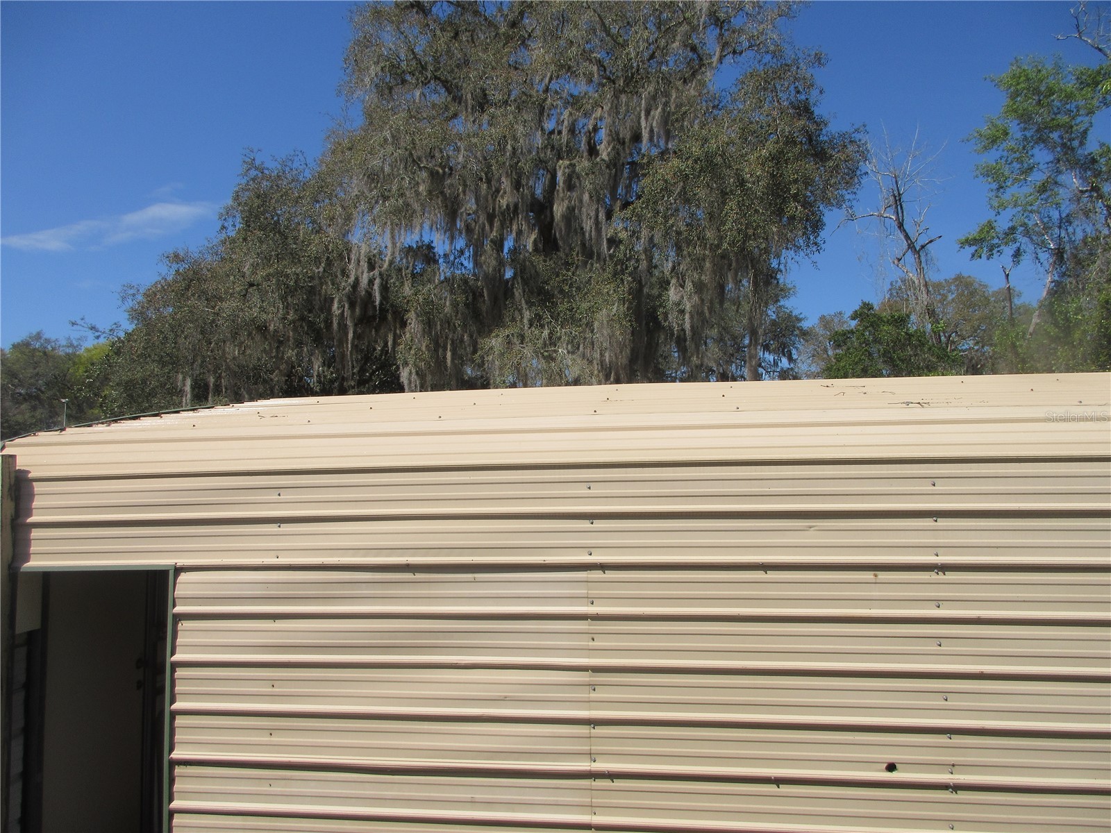 18601 SE 24th Lane Ocklawaha FL 32179 OM719937 image79