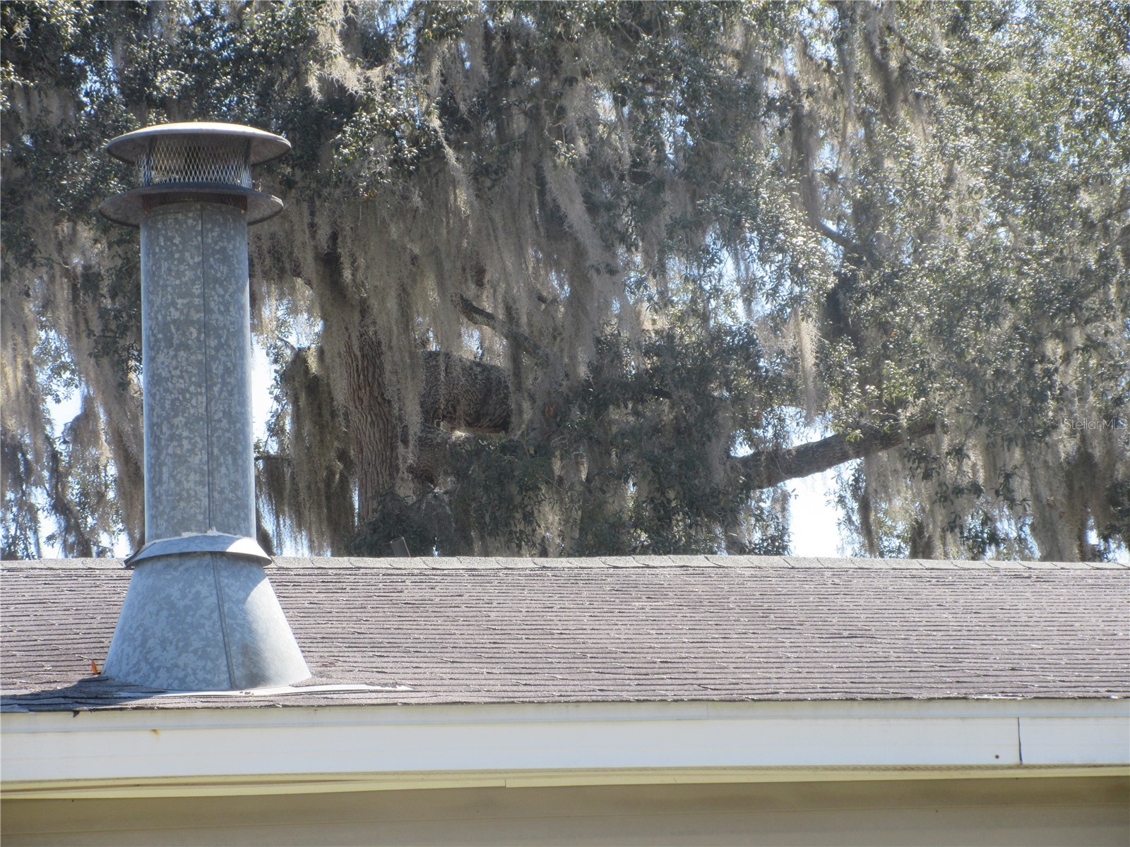 18601 SE 24th Lane Ocklawaha FL 32179 OM719937 image96