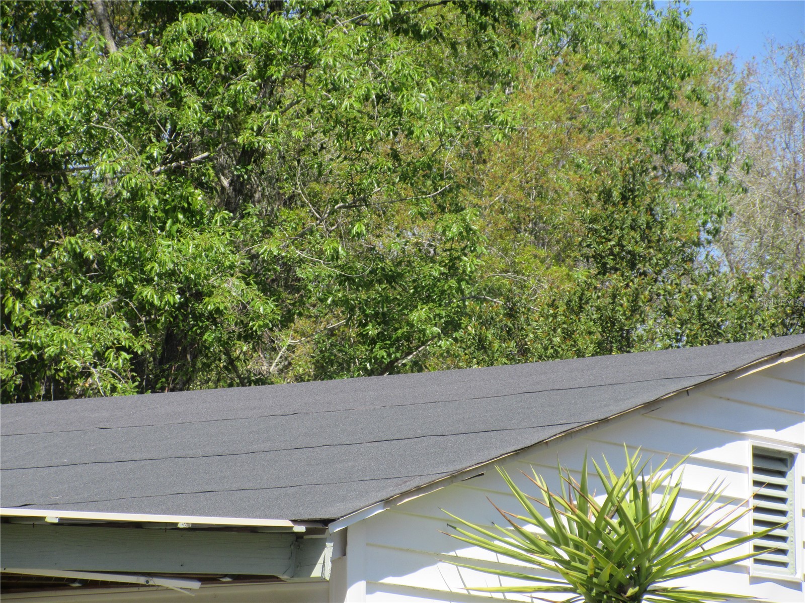 18601 SE 24th Lane Ocklawaha FL 32179 OM719937 image97