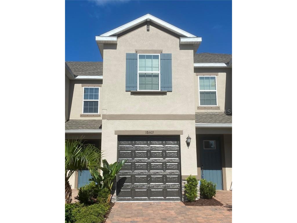 18603 Noble Caspian Drive Lutz FL 33558 T3424913 image1