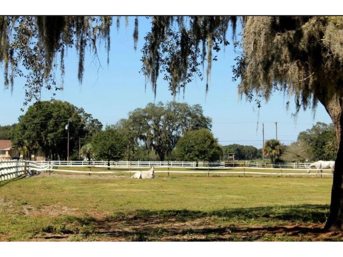 18603 Tyler Road Odessa FL 33556 U8226569 image1