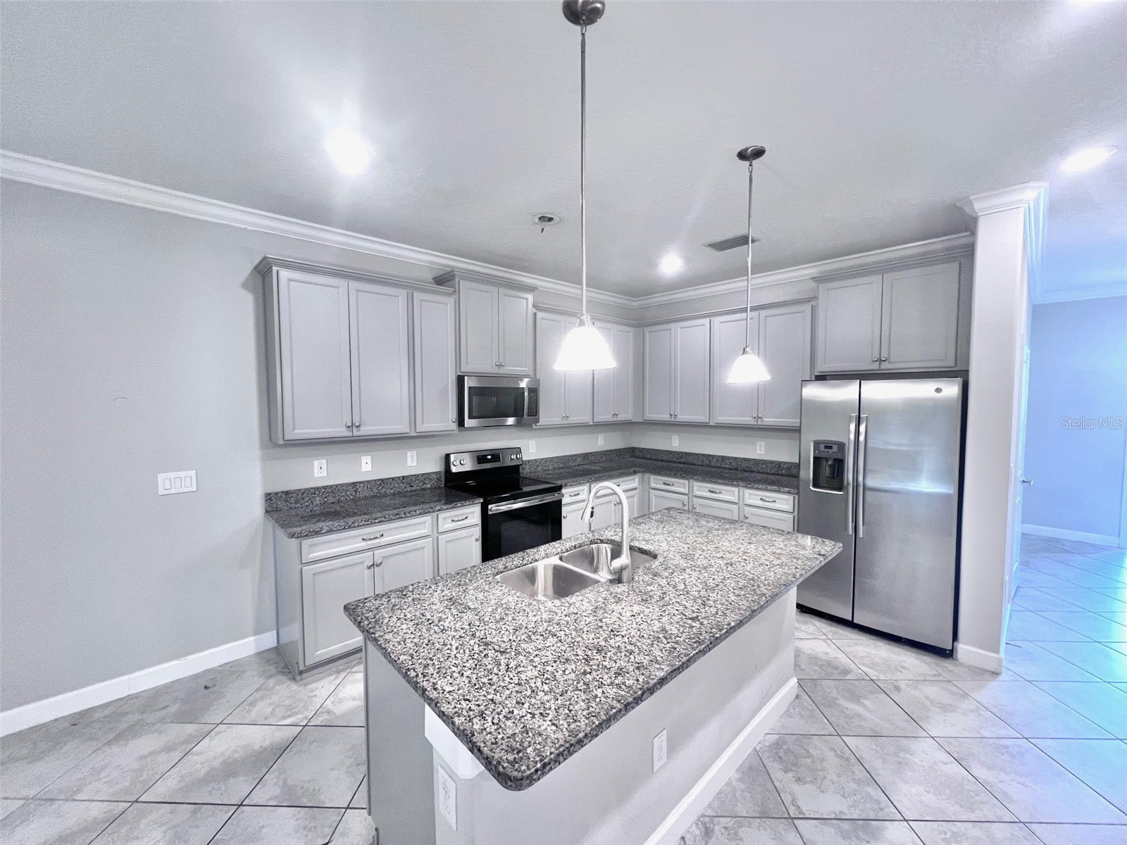 18604 Noble Caspian Drive Lutz FL 33558 TB8486992 image11
