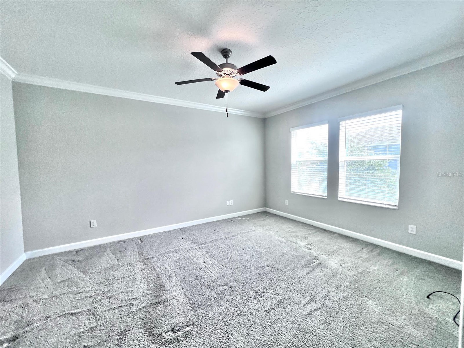 18604 Noble Caspian Drive Lutz FL 33558 TB8486992 image24