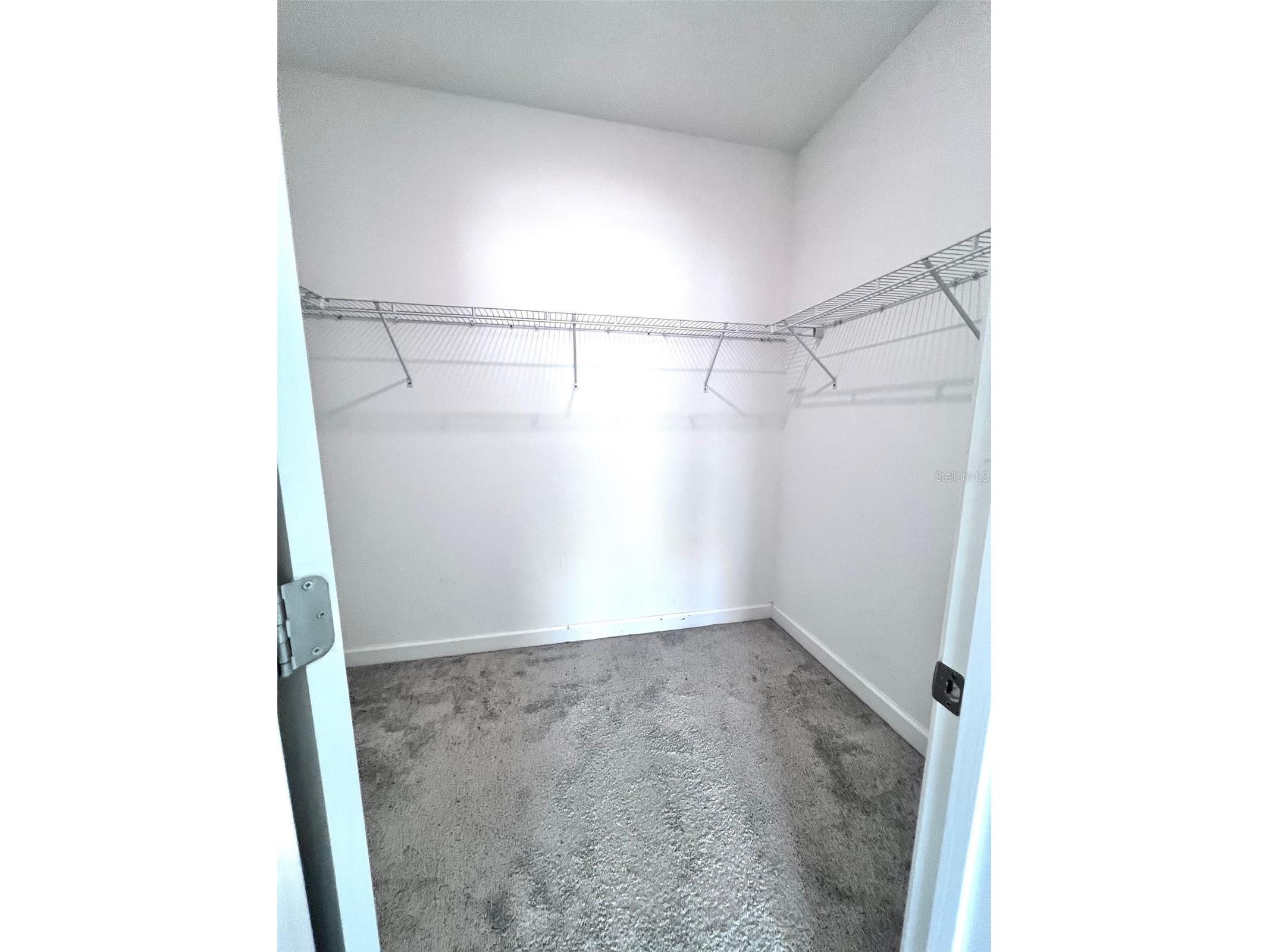 18604 Noble Caspian Drive Lutz FL 33558 TB8486992 image26