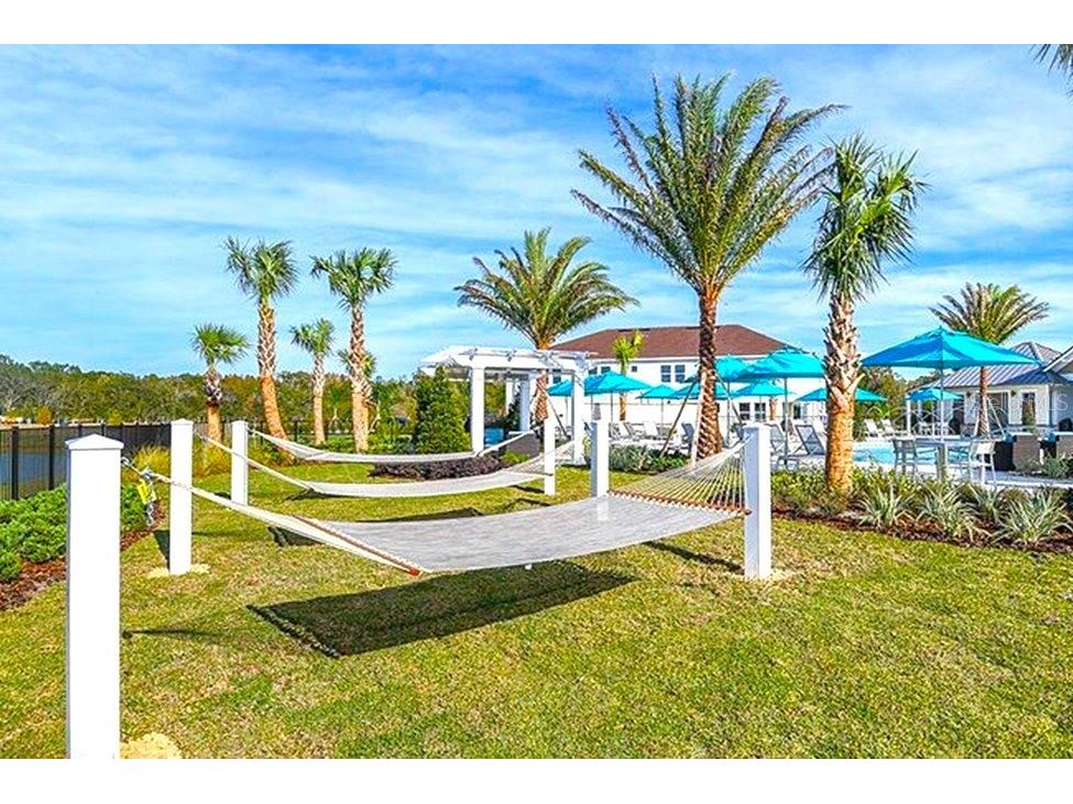 18604 Noble Caspian Drive Lutz FL 33558 TB8486992 image49