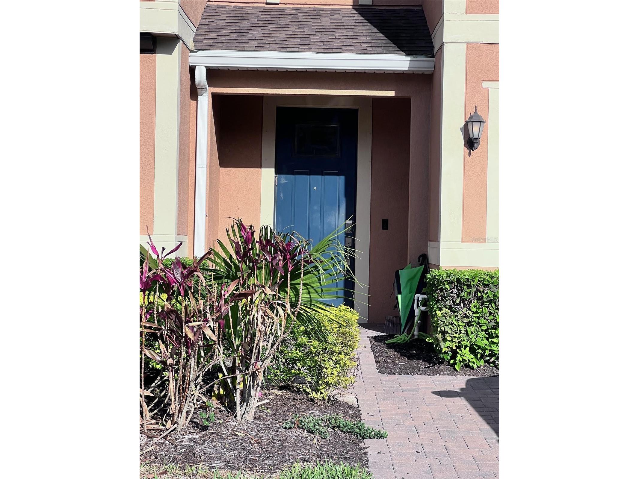 18604 Noble Caspian Drive Lutz FL 33558 TB8486992 image6