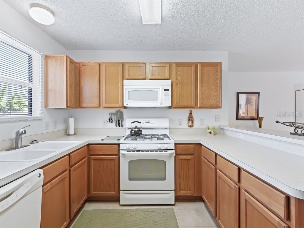 1861 Banberry Run The Villages FL 32162 OM705641 image6