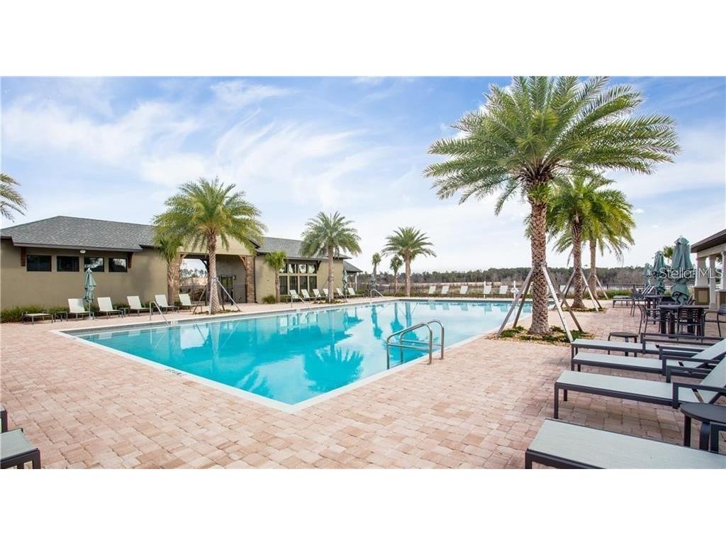 1861 Black Maple Place Ocoee FL 34761 O6405415 image35