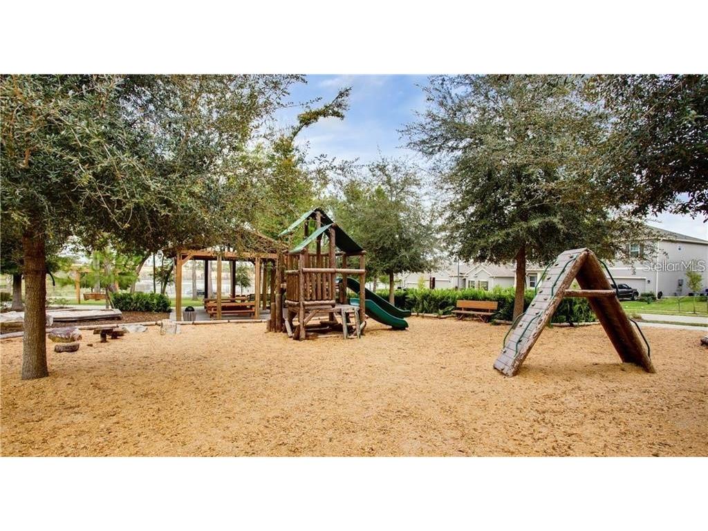 1861 Black Maple Place Ocoee FL 34761 O6405415 image39
