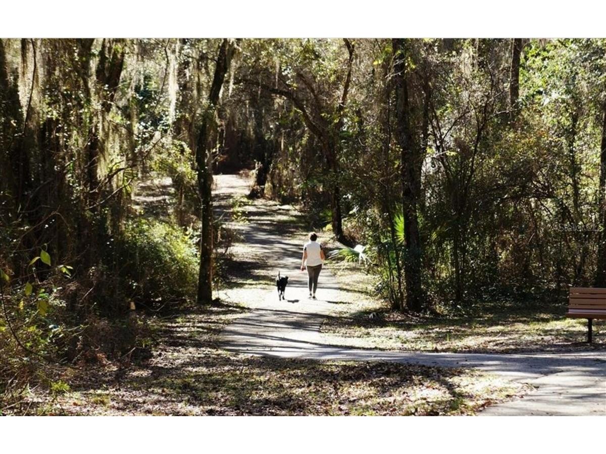 1861 N Eagle Chase Drive Hernando FL 34442 OM728120 image95