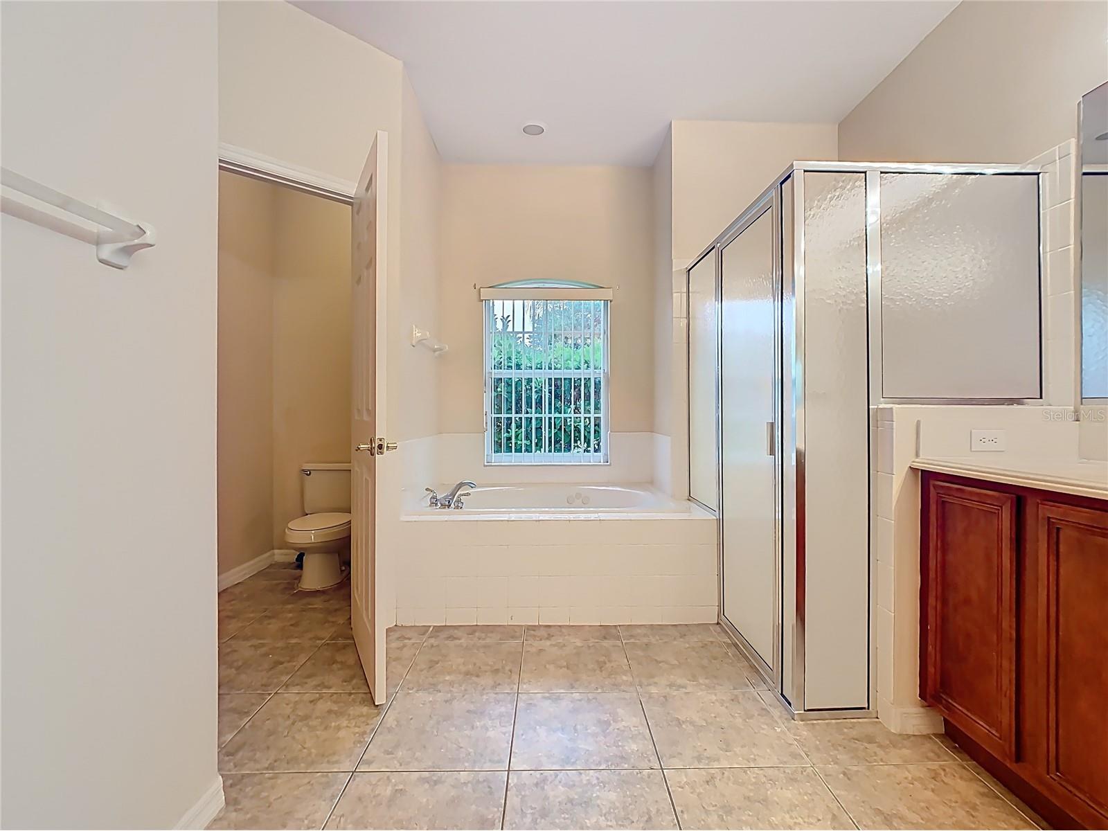 1861 Windward Oaks Court Kissimmee FL 34746 O6410386 image32