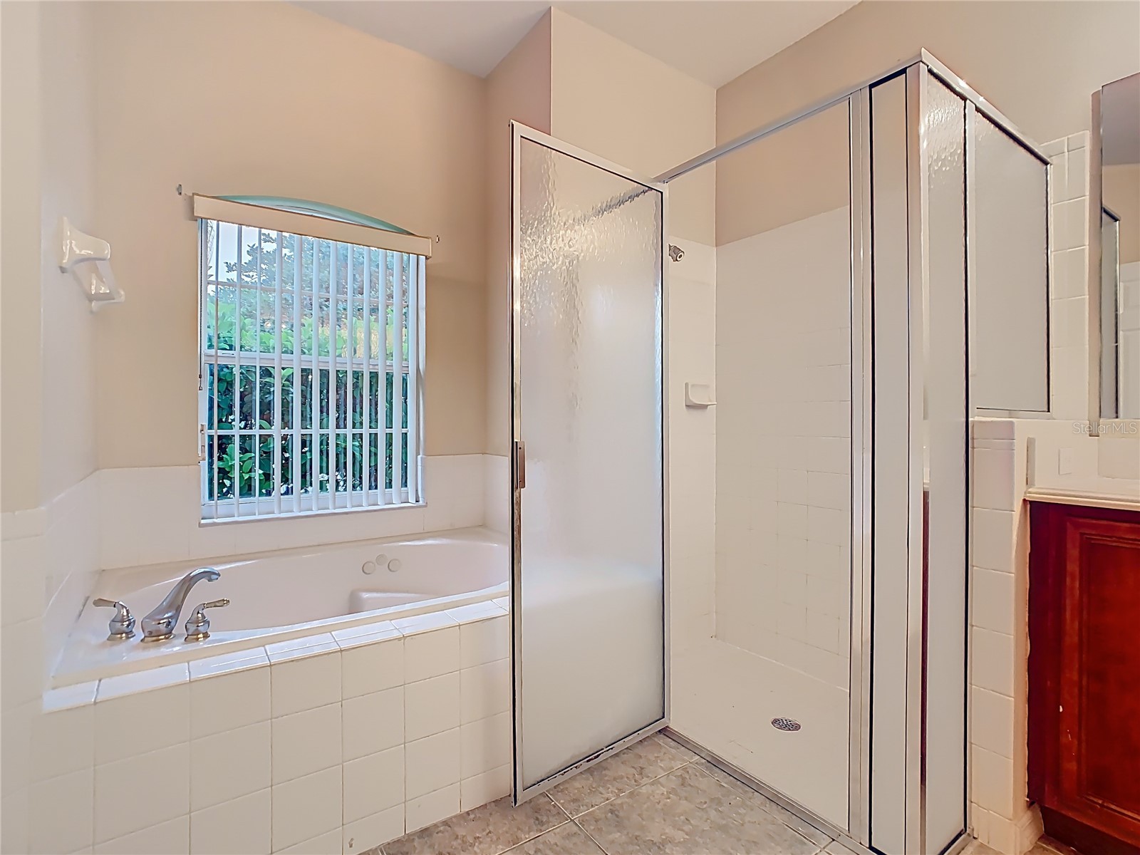 1861 Windward Oaks Court Kissimmee FL 34746 O6410386 image33