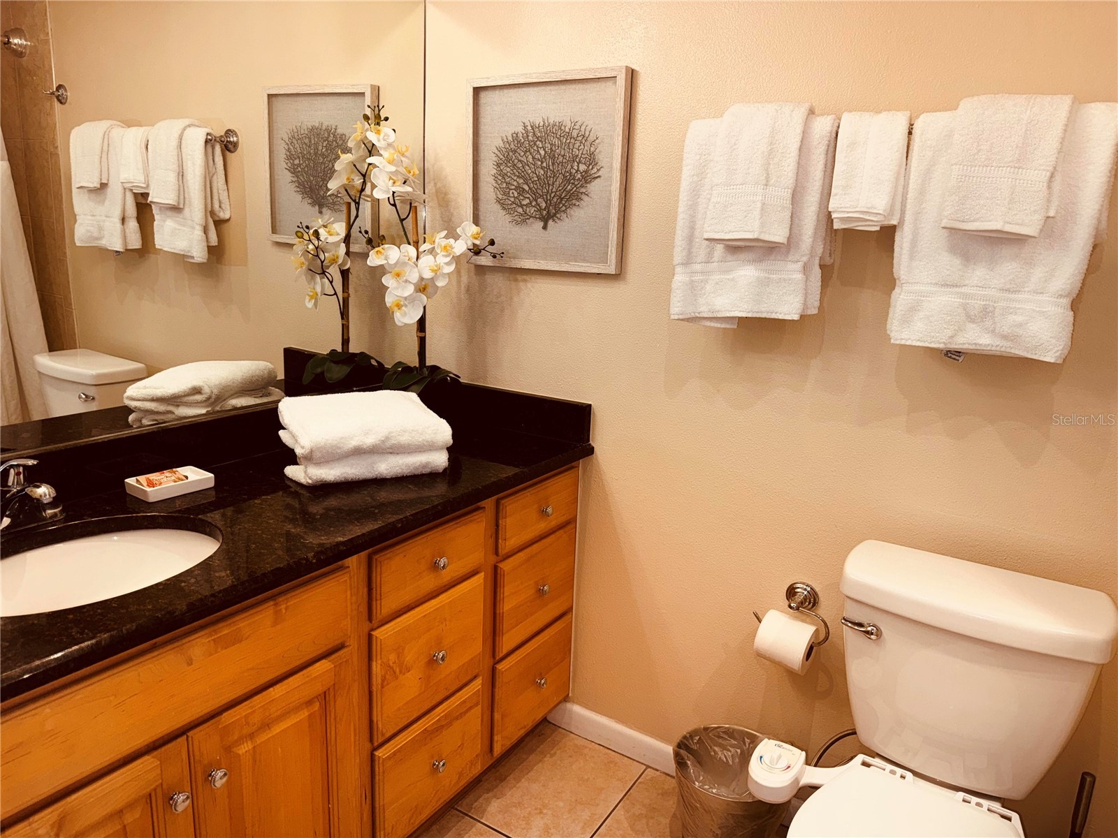 18610 Gulf Boulevard #106 Indian Shores FL 33785 - GULF OF AMERICA TB8513950 image23