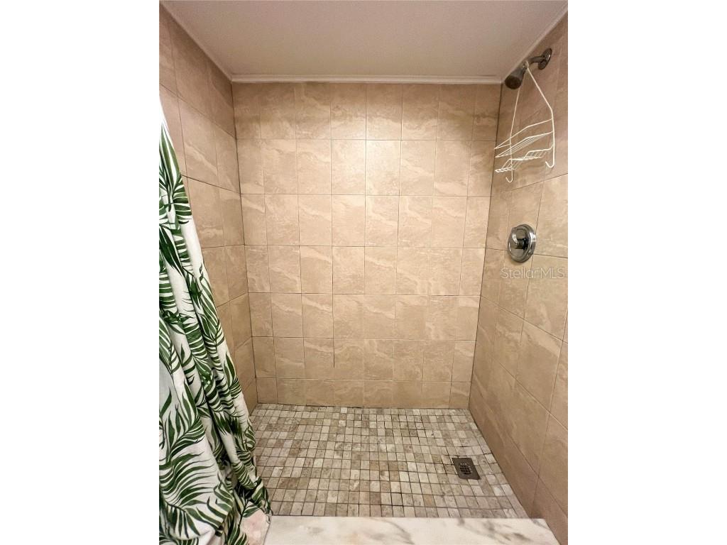 18610 Gulf Boulevard #203 Indian Shores FL 33785 TB8440181 image16