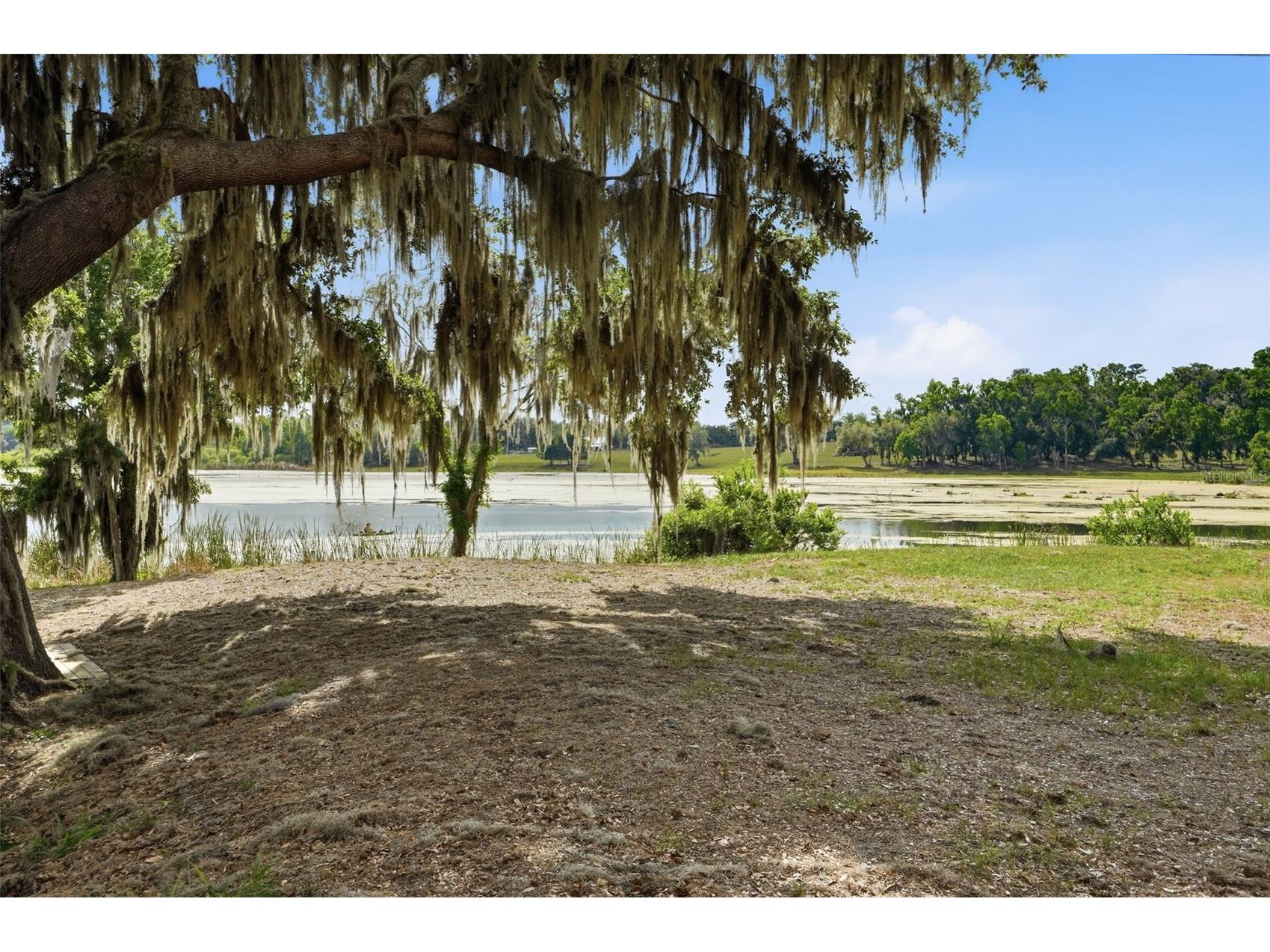 18610 Townsend House Road Dade City FL 33523 - Middle lake W7884689 image10