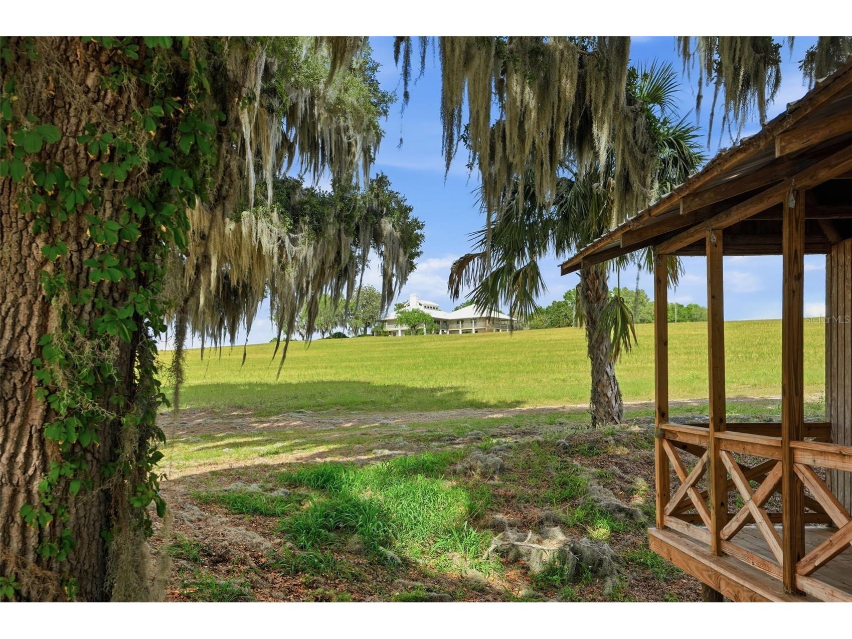 18610 Townsend House Road Dade City FL 33523 - Middle lake W7884689 image3