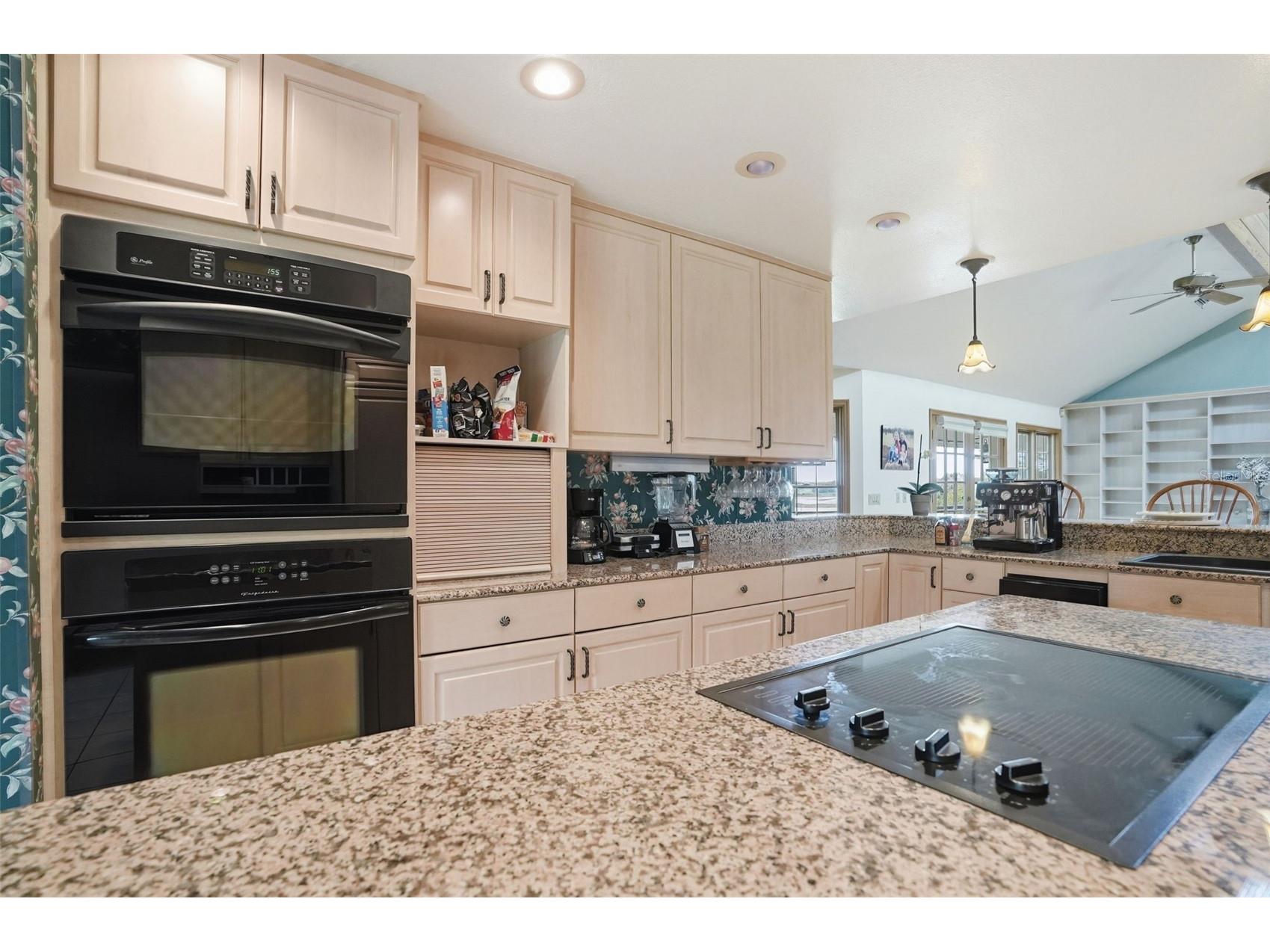 18610 Townsend House Road Dade City FL 33523 - Middle lake W7884689 image33