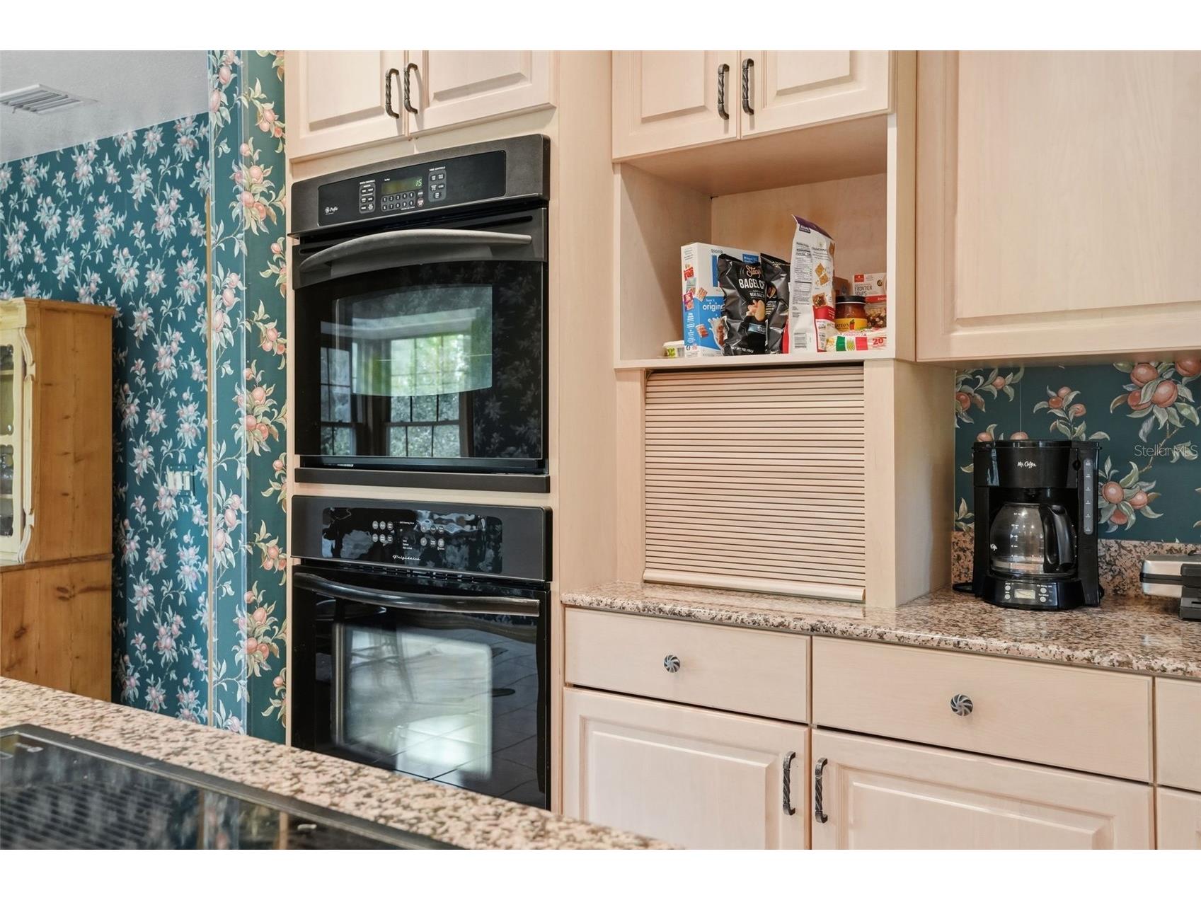 18610 Townsend House Road Dade City FL 33523 - Middle lake W7884689 image36