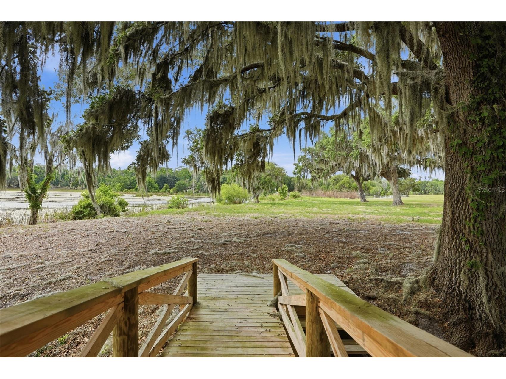 18610 Townsend House Road Dade City FL 33523 - Middle lake W7884689 image69