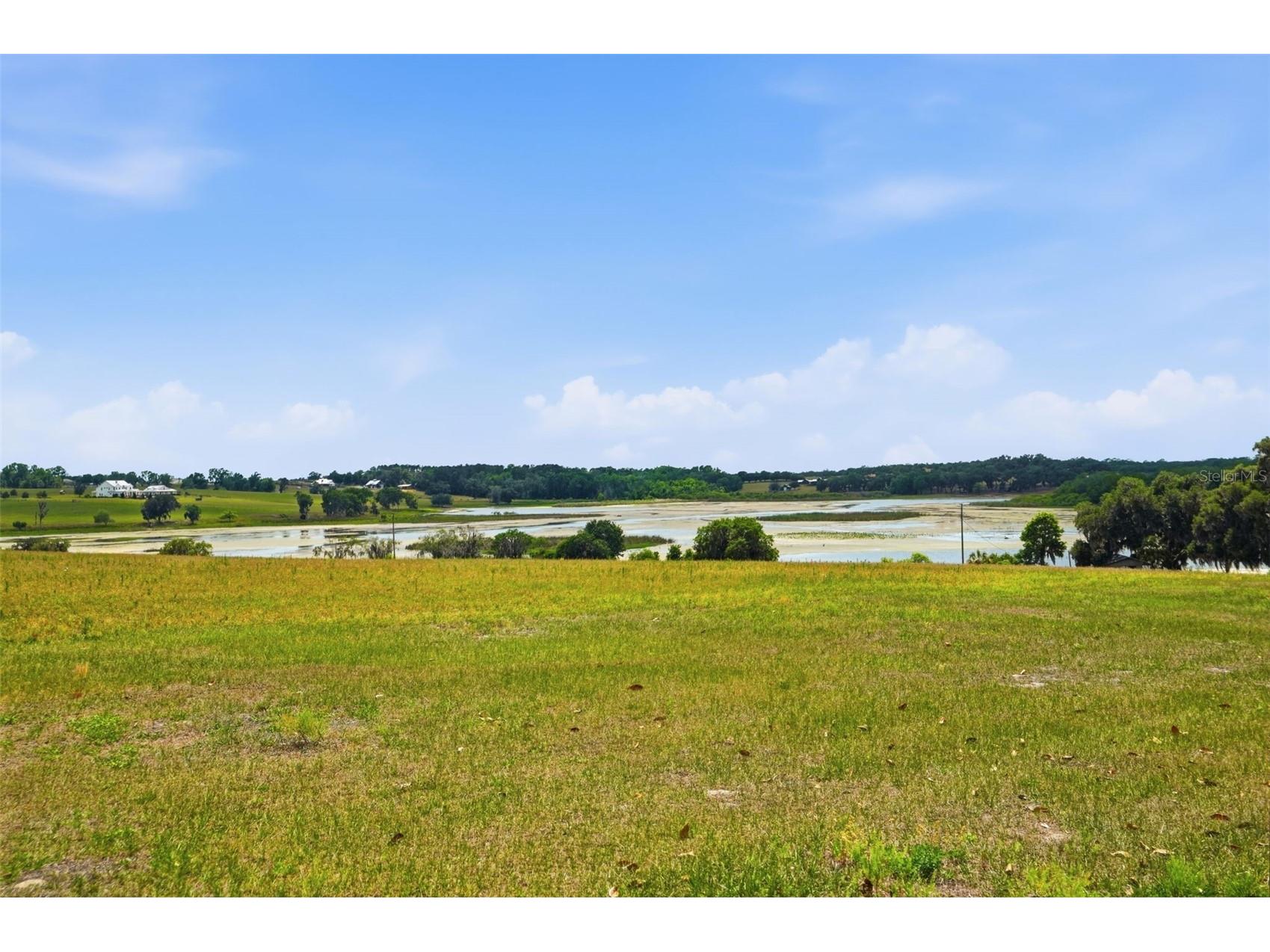 18610 Townsend House Road Dade City FL 33523 - Middle lake W7884689 image73