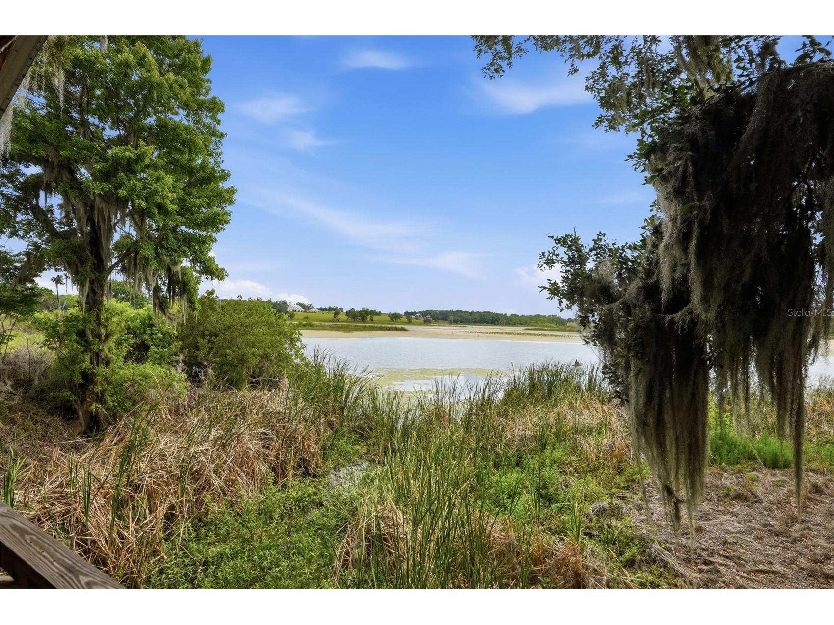 18610 Townsend House Road Dade City FL 33523 - Middle lake W7884689 image74