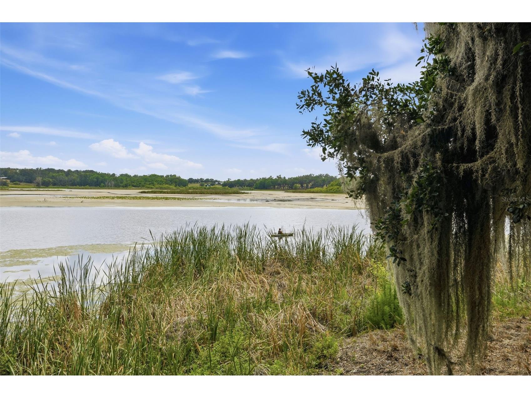 18610 Townsend House Road Dade City FL 33523 - Middle lake W7884689 image75