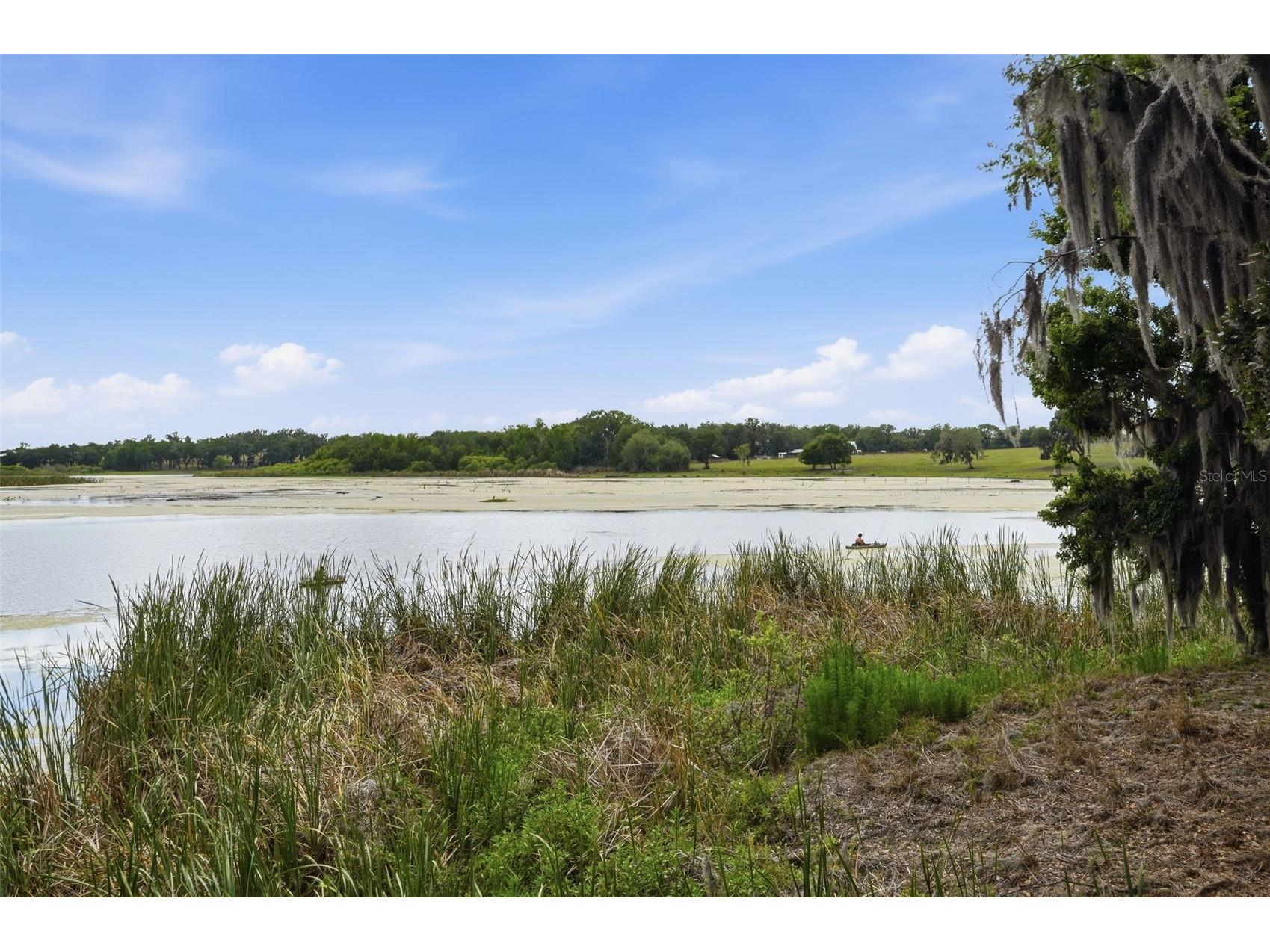 18610 Townsend House Road Dade City FL 33523 - Middle lake W7884689 image76