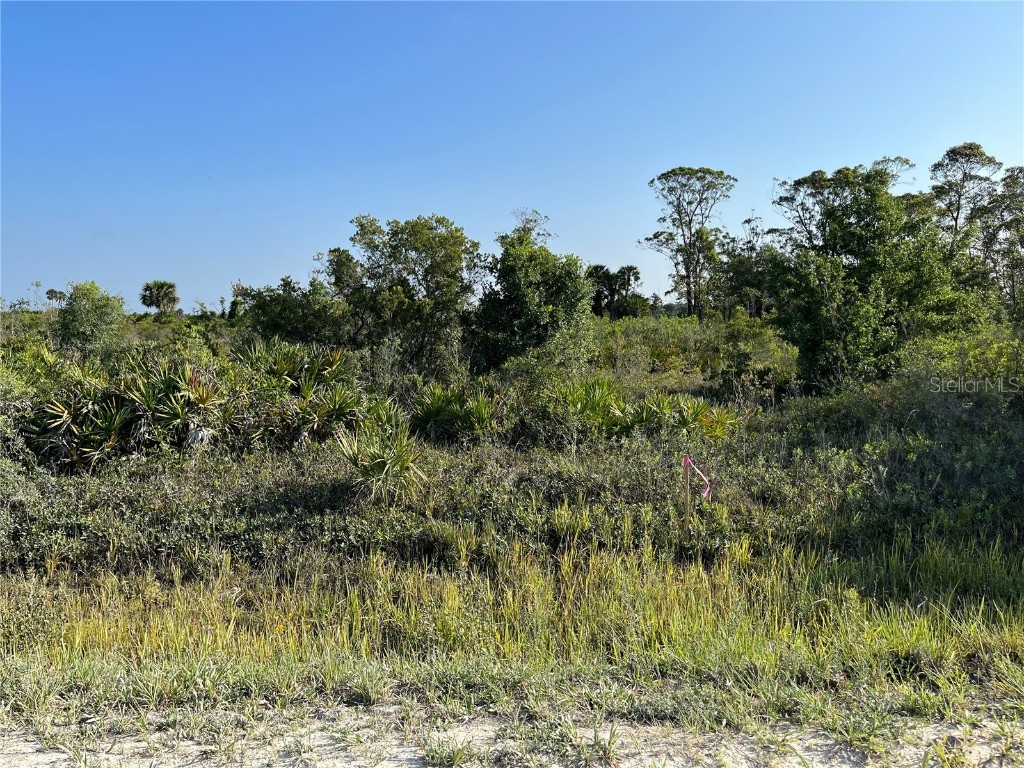 18611 NW 256th Street Okeechobee FL 34972 OK222792 image1