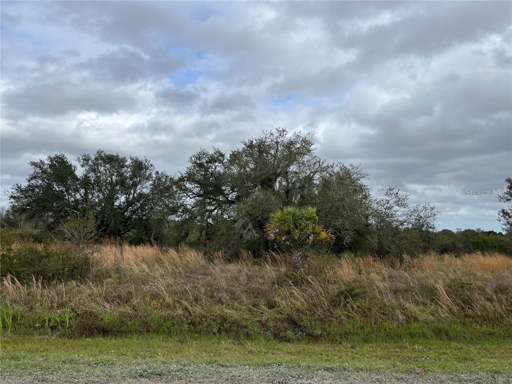 18611 NW 288th Street Okeechobee FL 34972 OK223670 image1